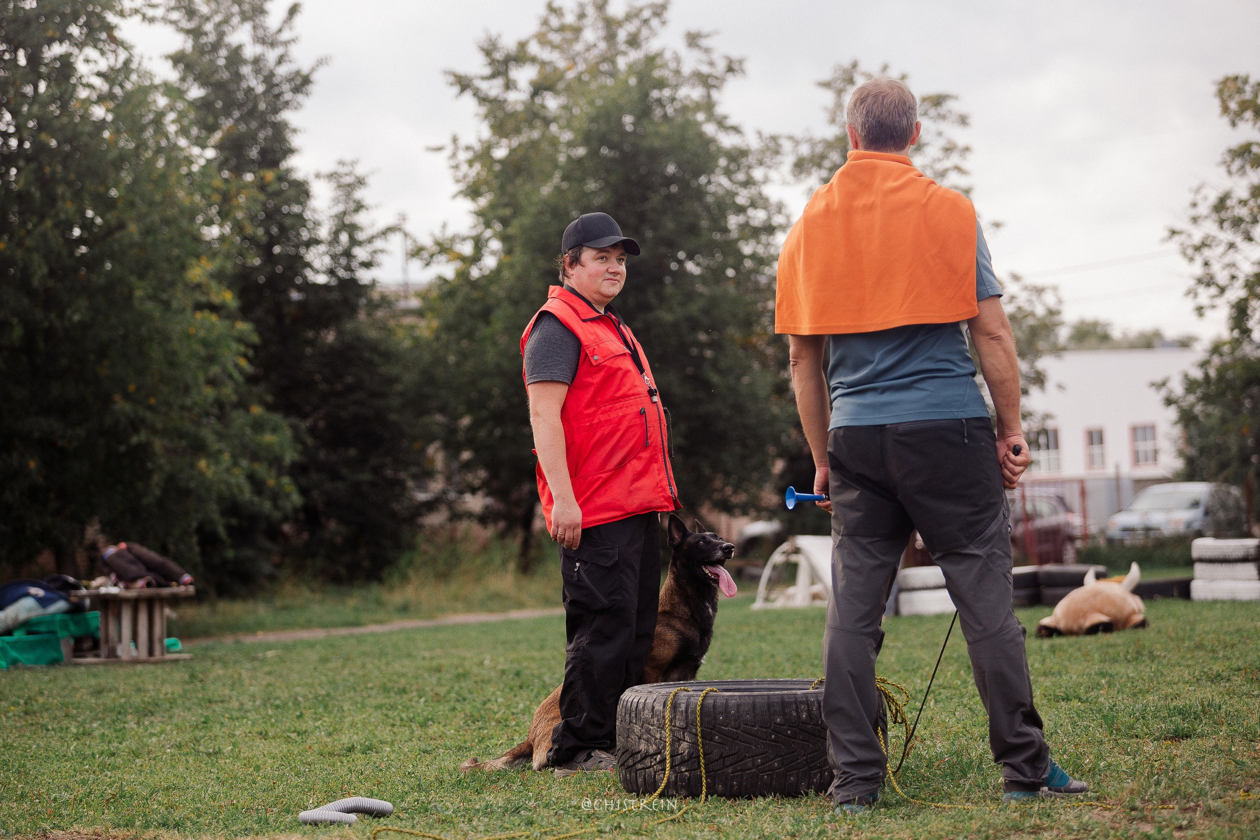 Семинары по мондио. Фотограф-анималист Наталия Чистюхина в г. Сосновый Бор и ЛО