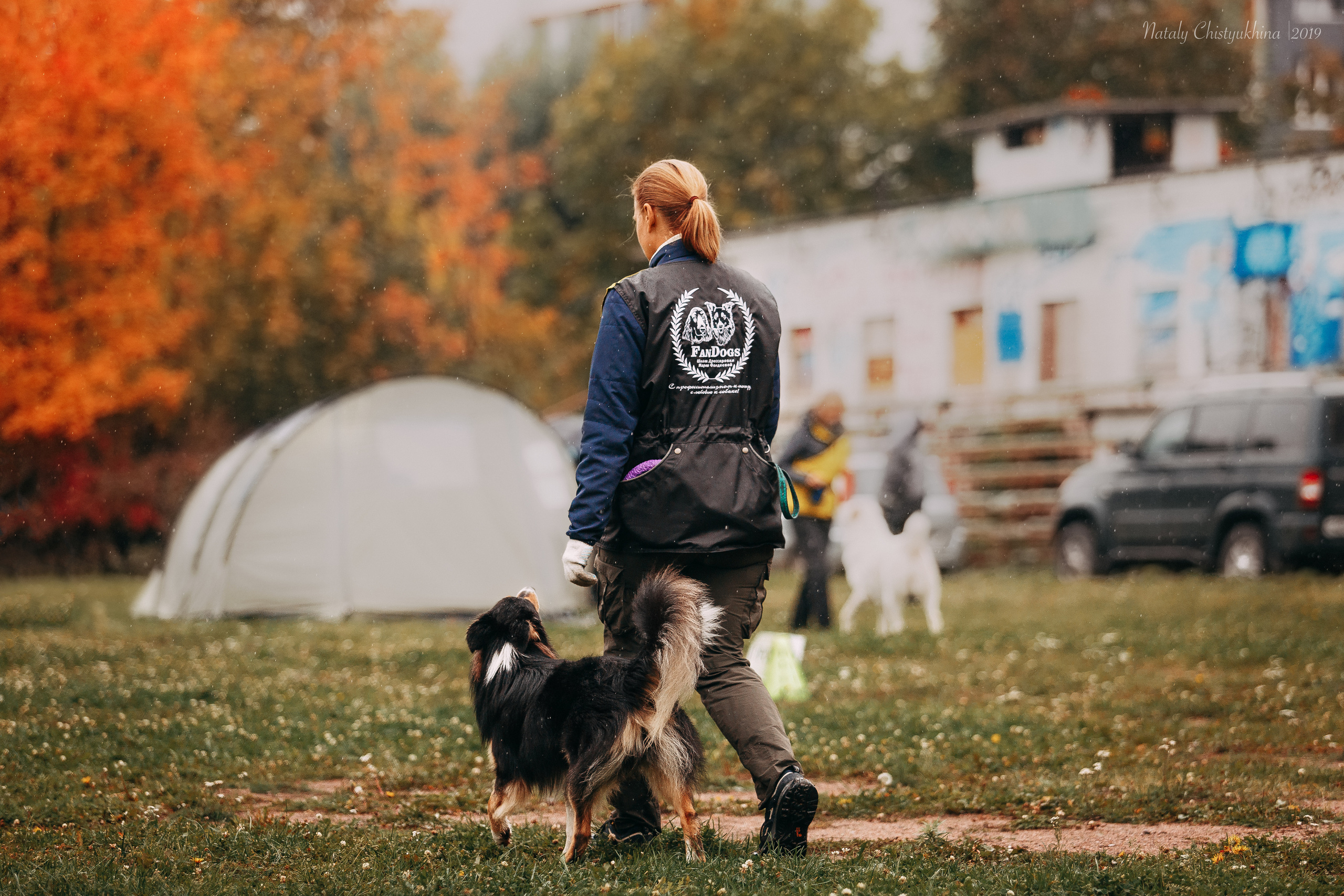 Соревнования «Петровская осень». Фотограф-анималист Наталия Чистюхина в г. Сосновый Бор и ЛО