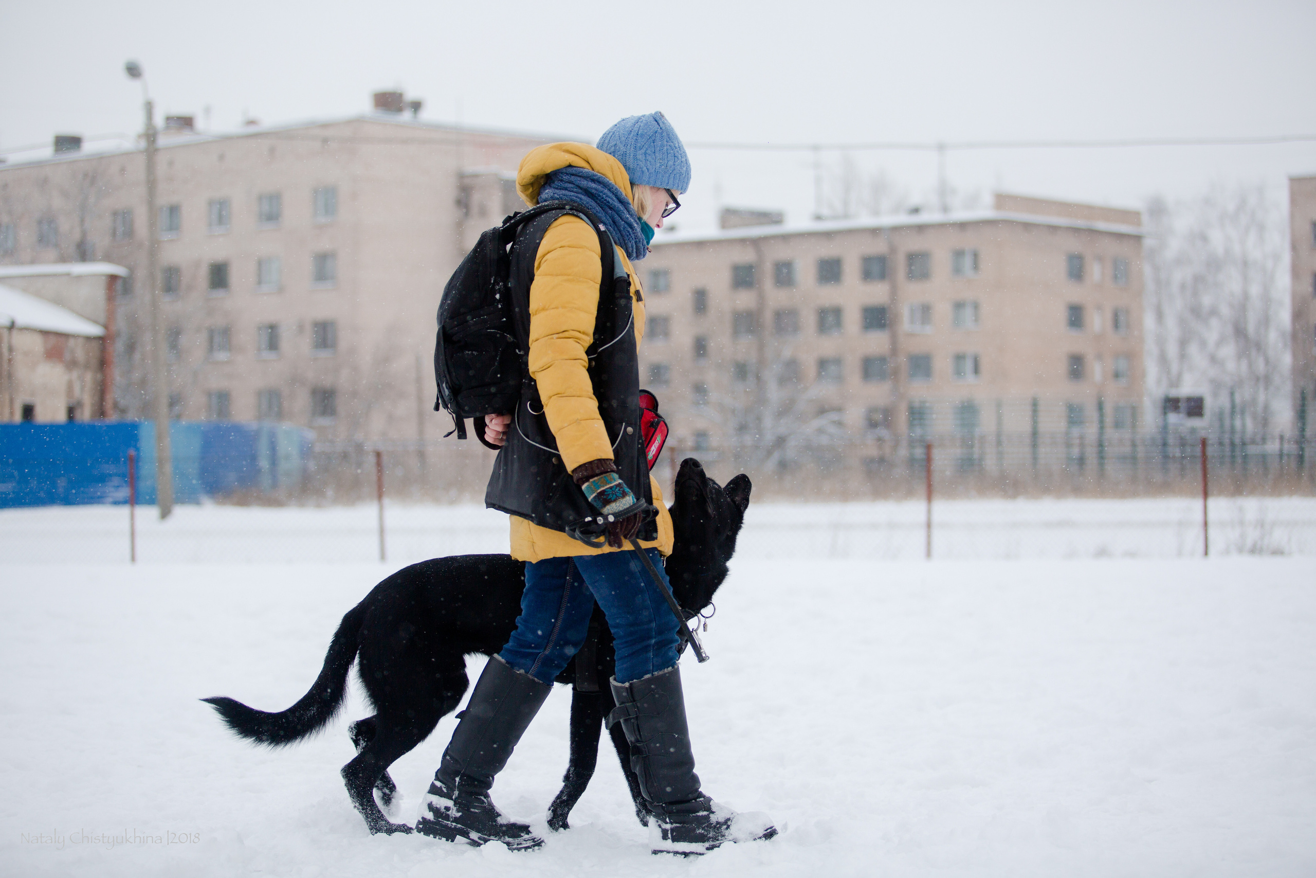 Семинары по мондио. Фотограф-анималист Наталия Чистюхина в г. Сосновый Бор и ЛО