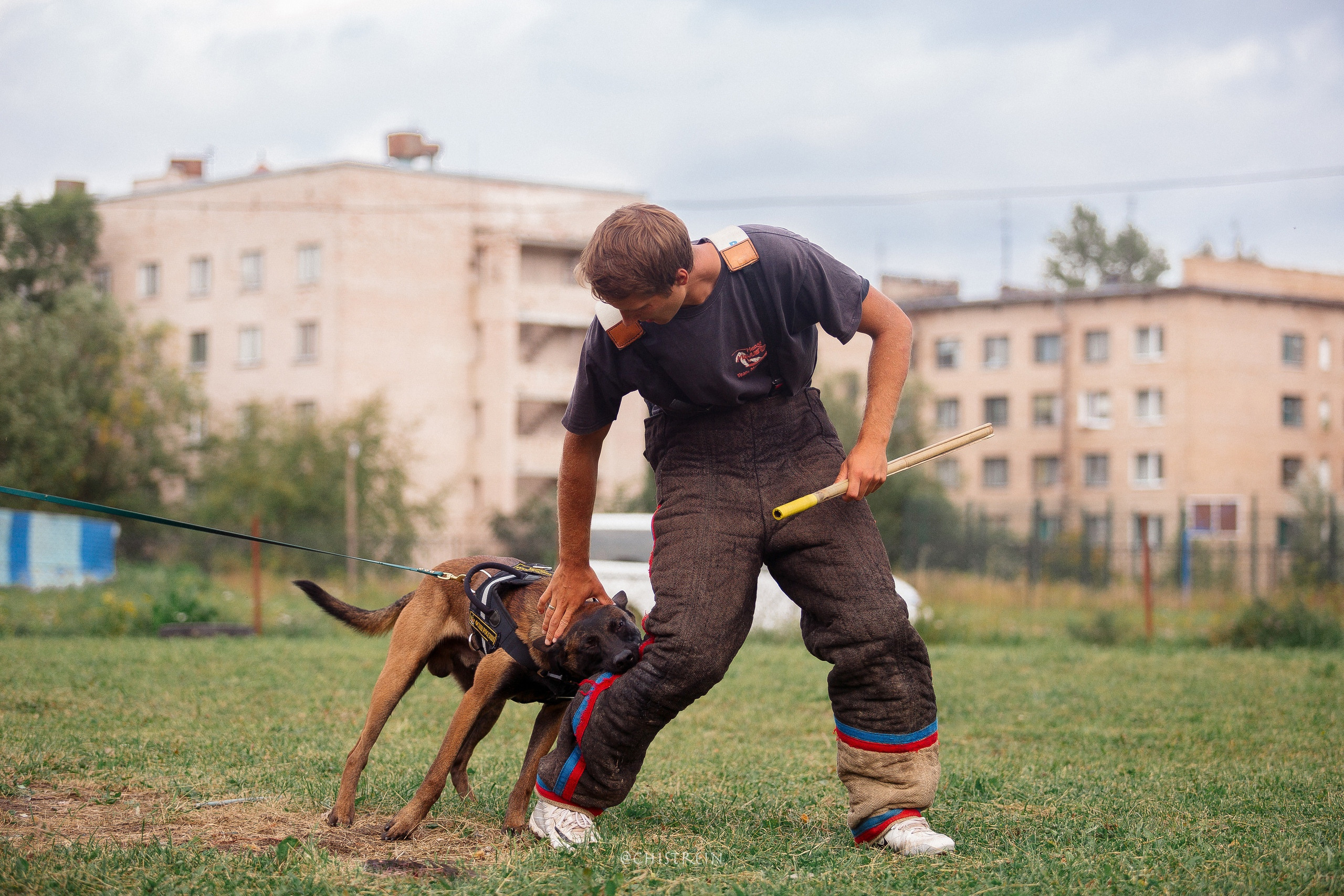Семинары по мондио. Фотограф-анималист Наталия Чистюхина в г. Сосновый Бор и ЛО