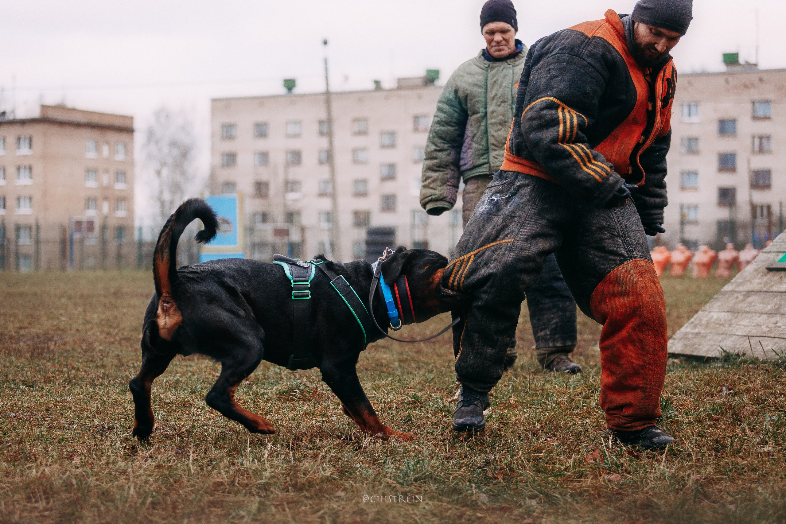 Мондьоринг в СПб. Фотограф-анималист Наталия Чистюхина в г. Сосновый Бор и ЛО