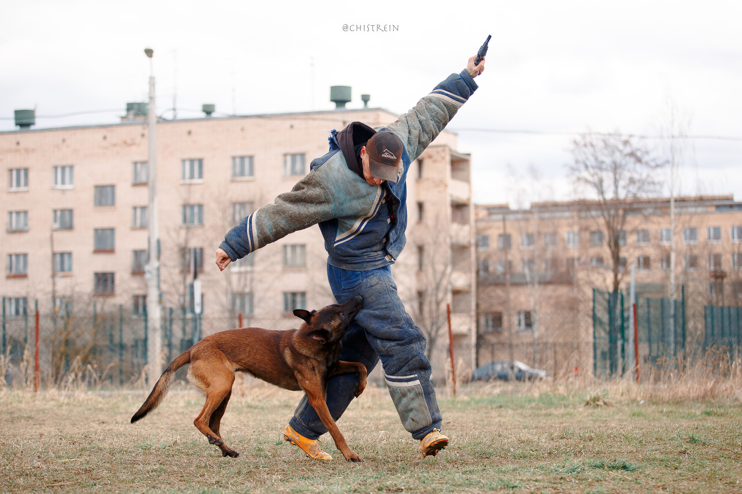 Мондьоринг в СПб. Фотограф-анималист Наталия Чистюхина в г. Сосновый Бор и ЛО