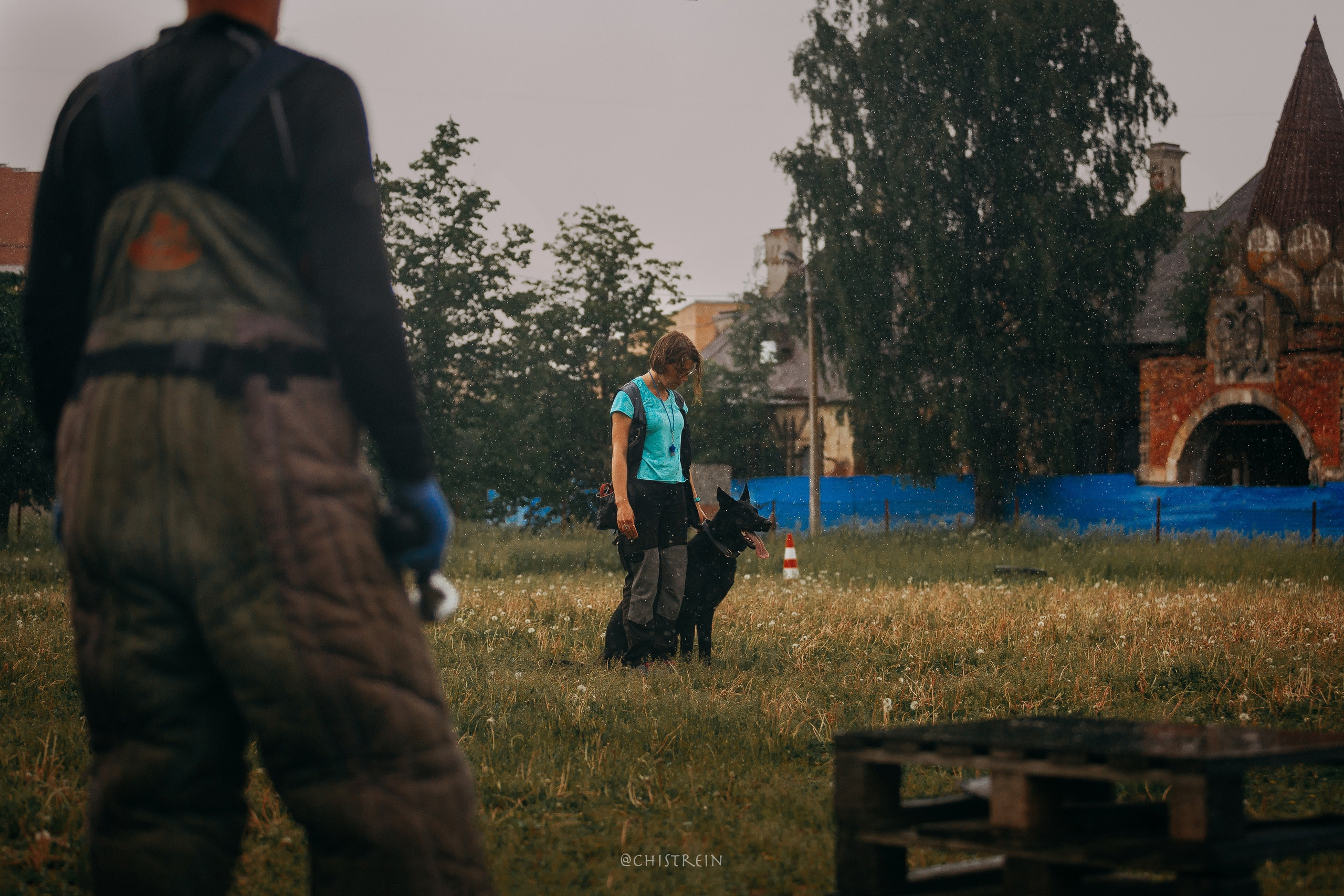 Мондьоринг в СПб. Фотограф-анималист Наталия Чистюхина в г. Сосновый Бор и ЛО