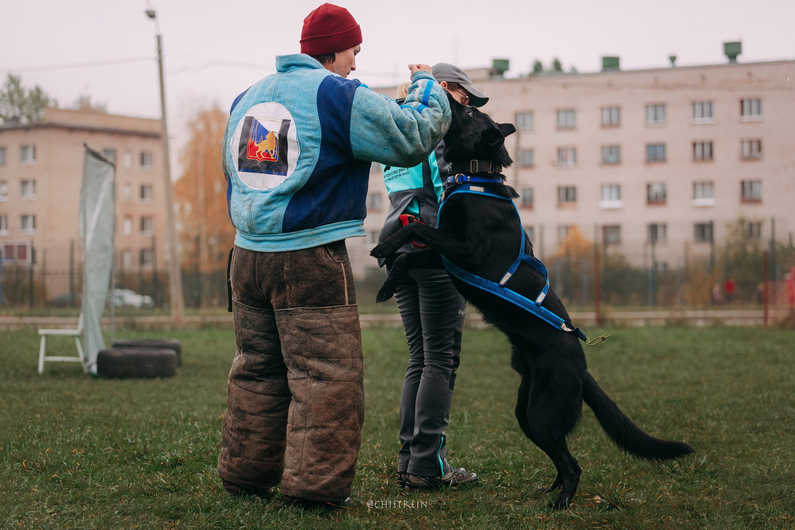 Мондьоринг в СПб. Фотограф-анималист Наталия Чистюхина в г. Сосновый Бор и ЛО