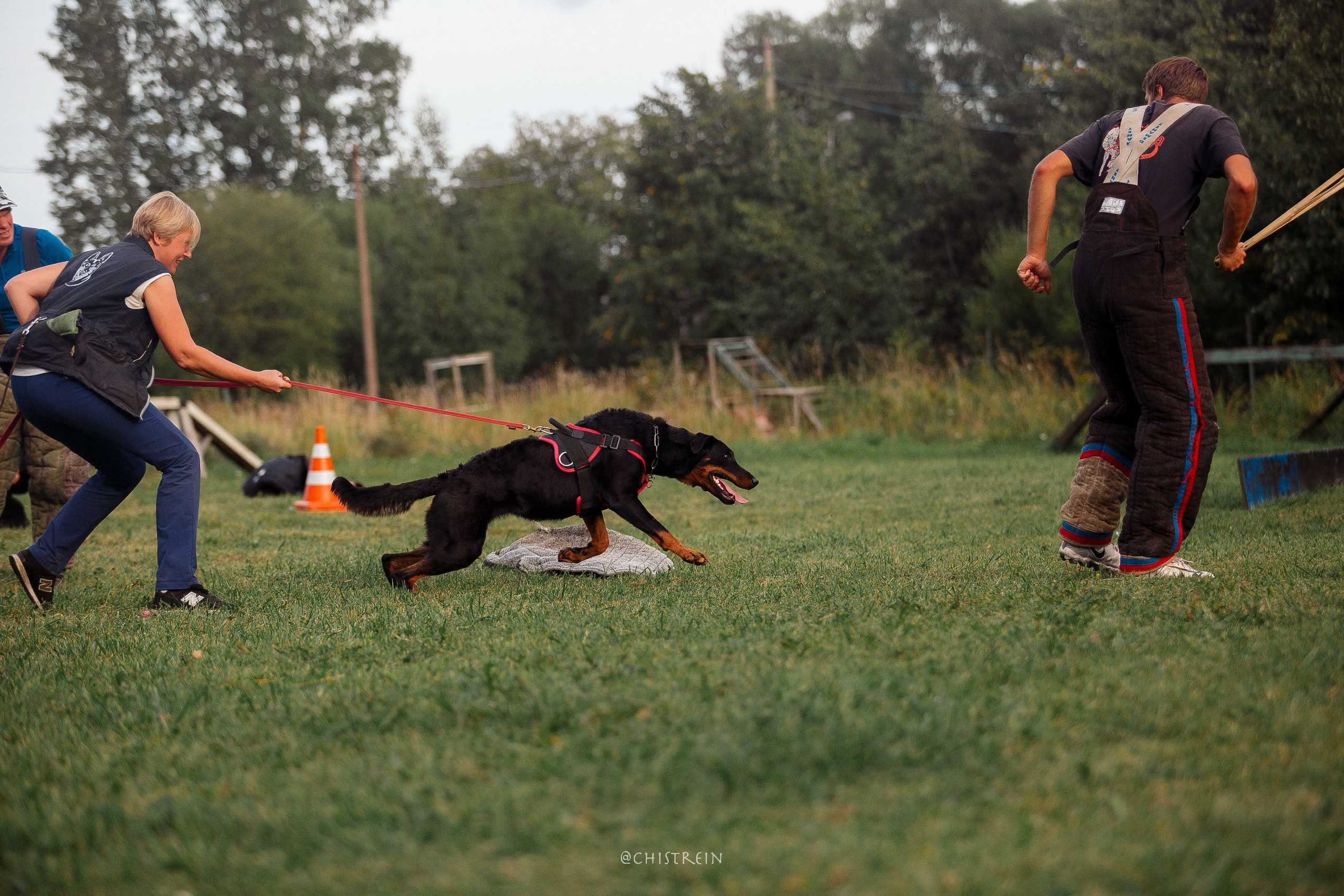 Семинары по мондио. Фотограф-анималист Наталия Чистюхина в г. Сосновый Бор и ЛО