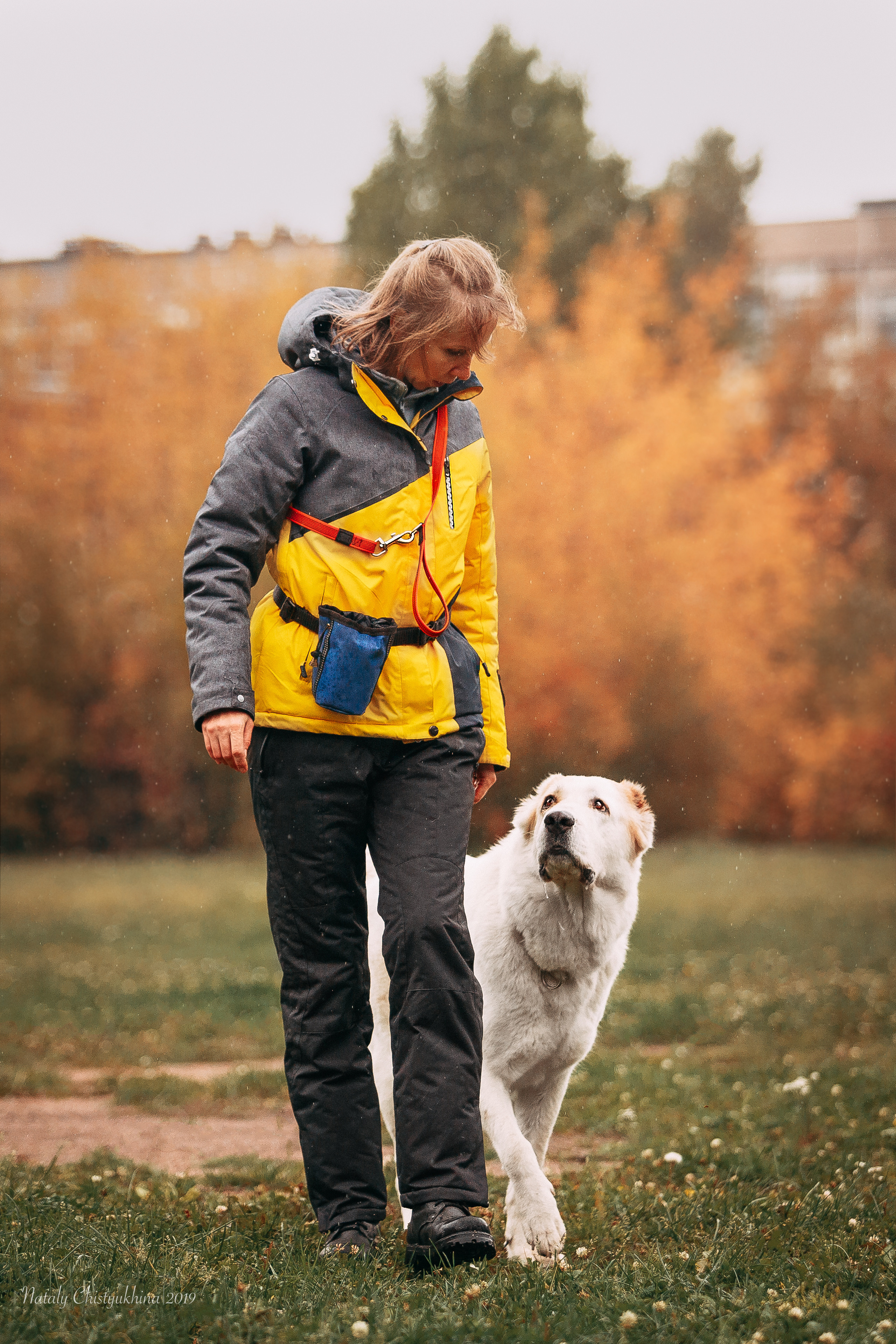 Соревнования «Петровская осень». Фотограф-анималист Наталия Чистюхина в г. Сосновый Бор и ЛО