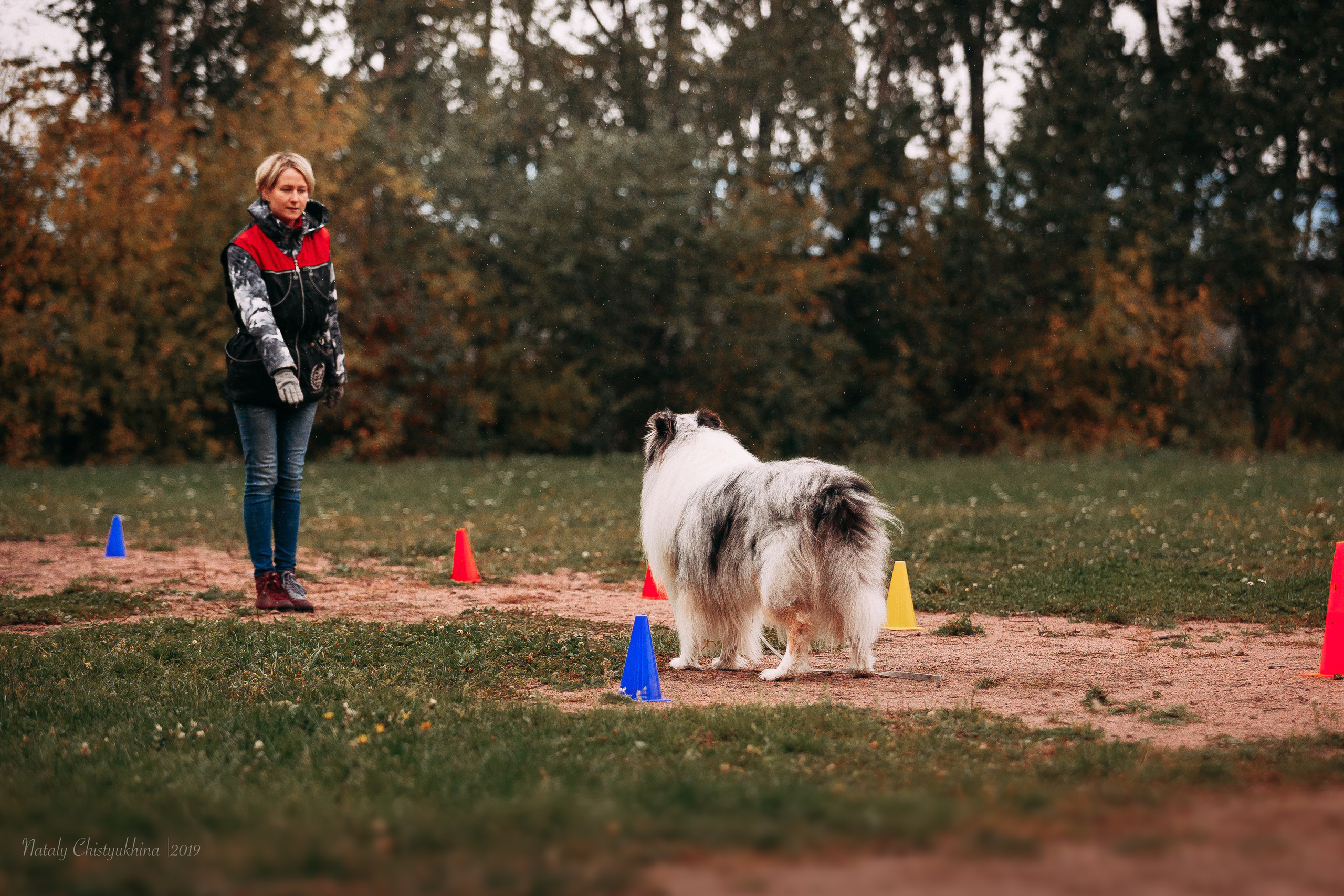 Соревнования «Петровская осень». Фотограф-анималист Наталия Чистюхина в г. Сосновый Бор и ЛО