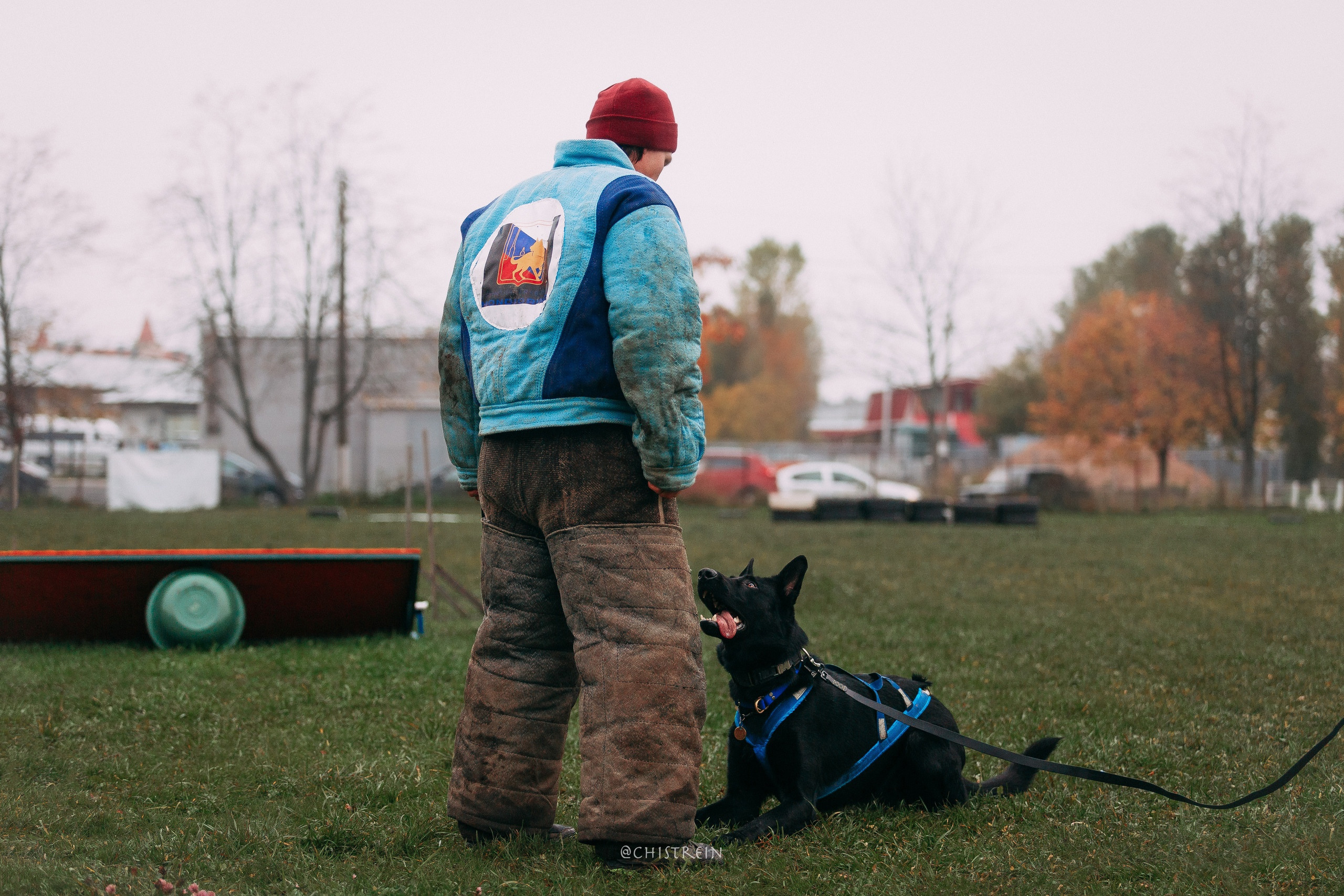Мондьоринг в СПб. Фотограф-анималист Наталия Чистюхина в г. Сосновый Бор и ЛО