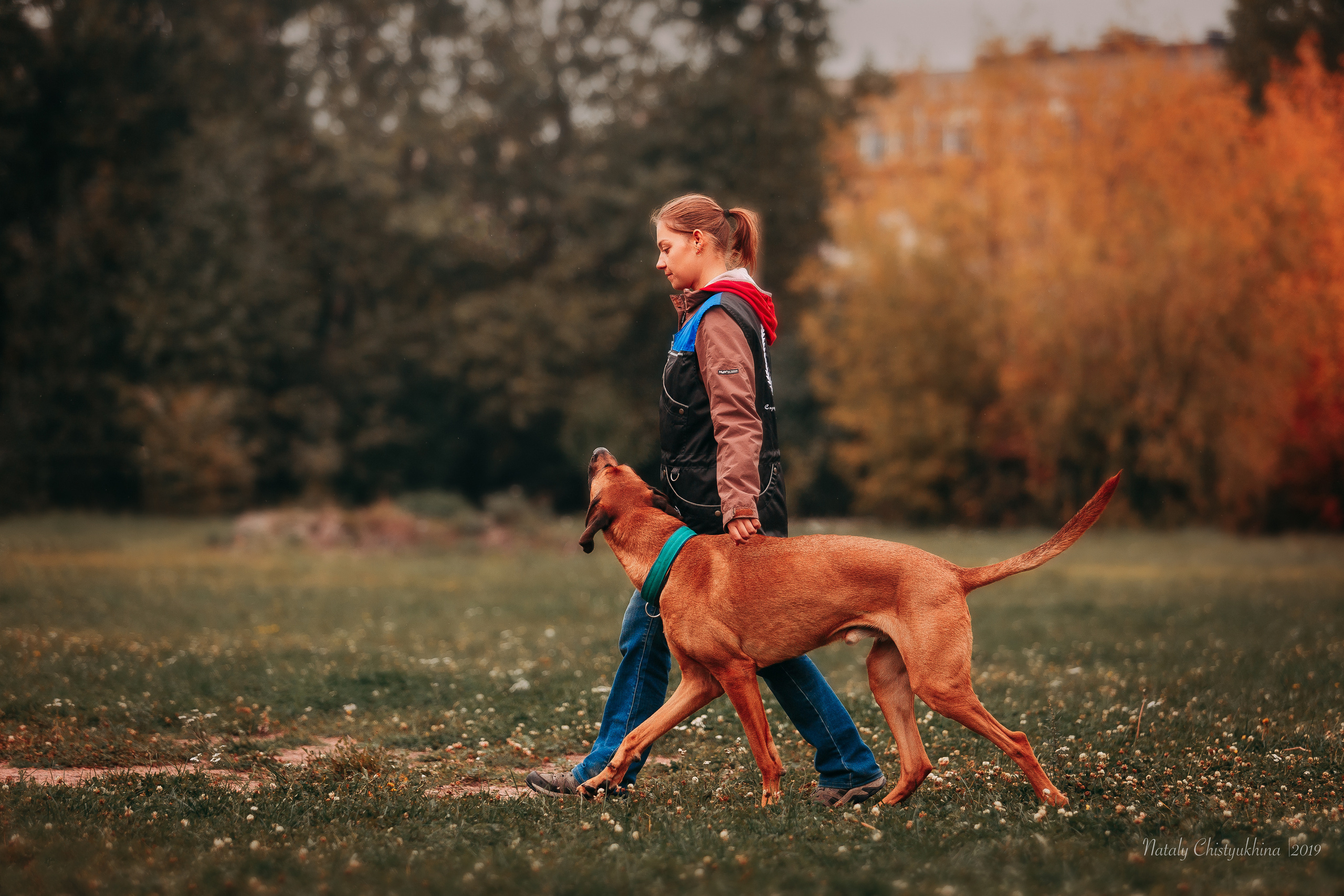 Соревнования «Петровская осень». Фотограф-анималист Наталия Чистюхина в г. Сосновый Бор и ЛО