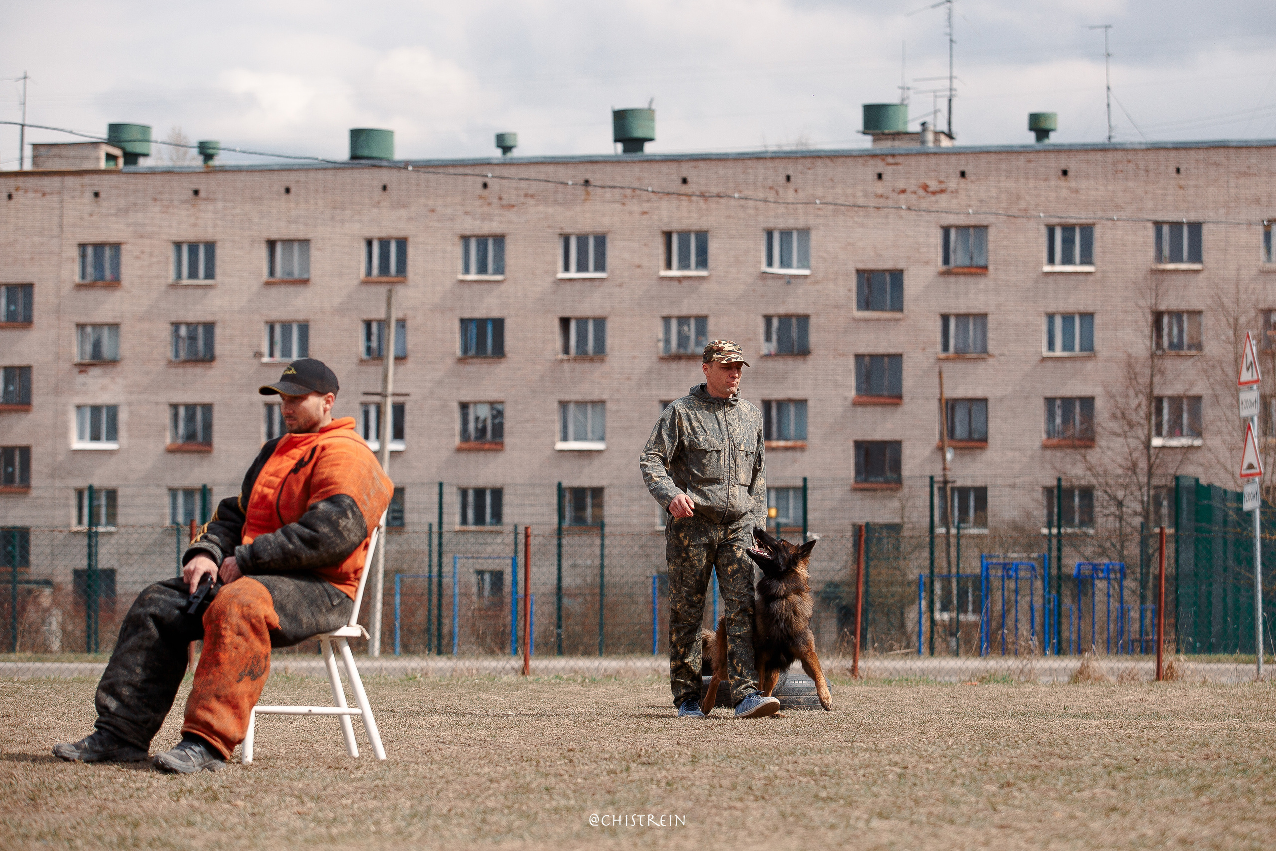 Большой Русский Ринг. Фотограф-анималист Наталия Чистюхина в г. Сосновый Бор и ЛО