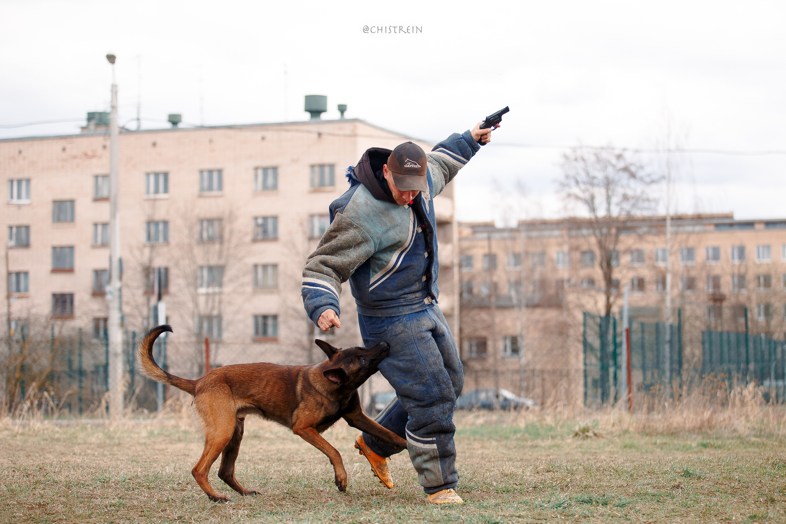 Мондьоринг в СПб. Фотограф-анималист Наталия Чистюхина в г. Сосновый Бор и ЛО