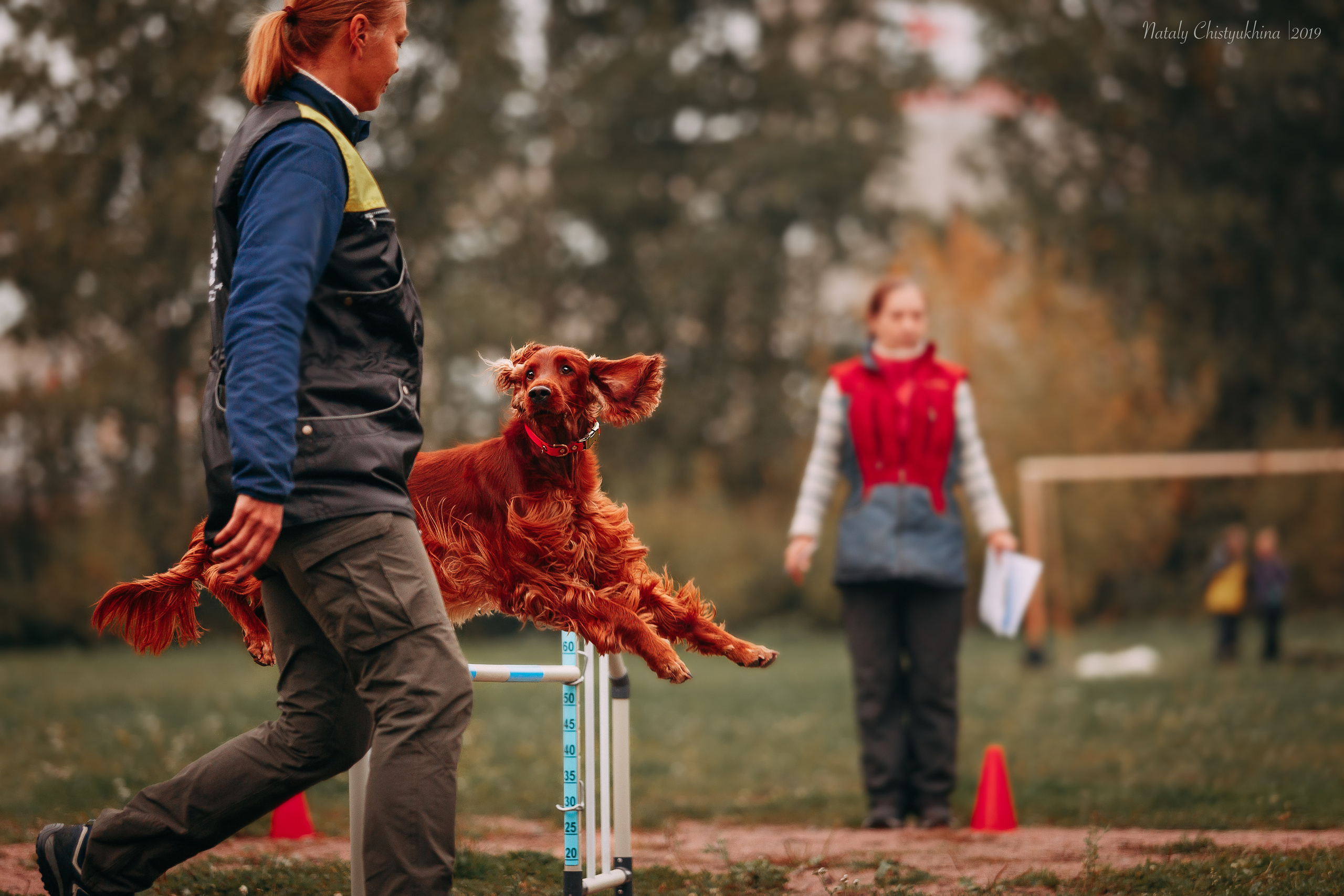 Соревнования «Петровская осень». Фотограф-анималист Наталия Чистюхина в г. Сосновый Бор и ЛО
