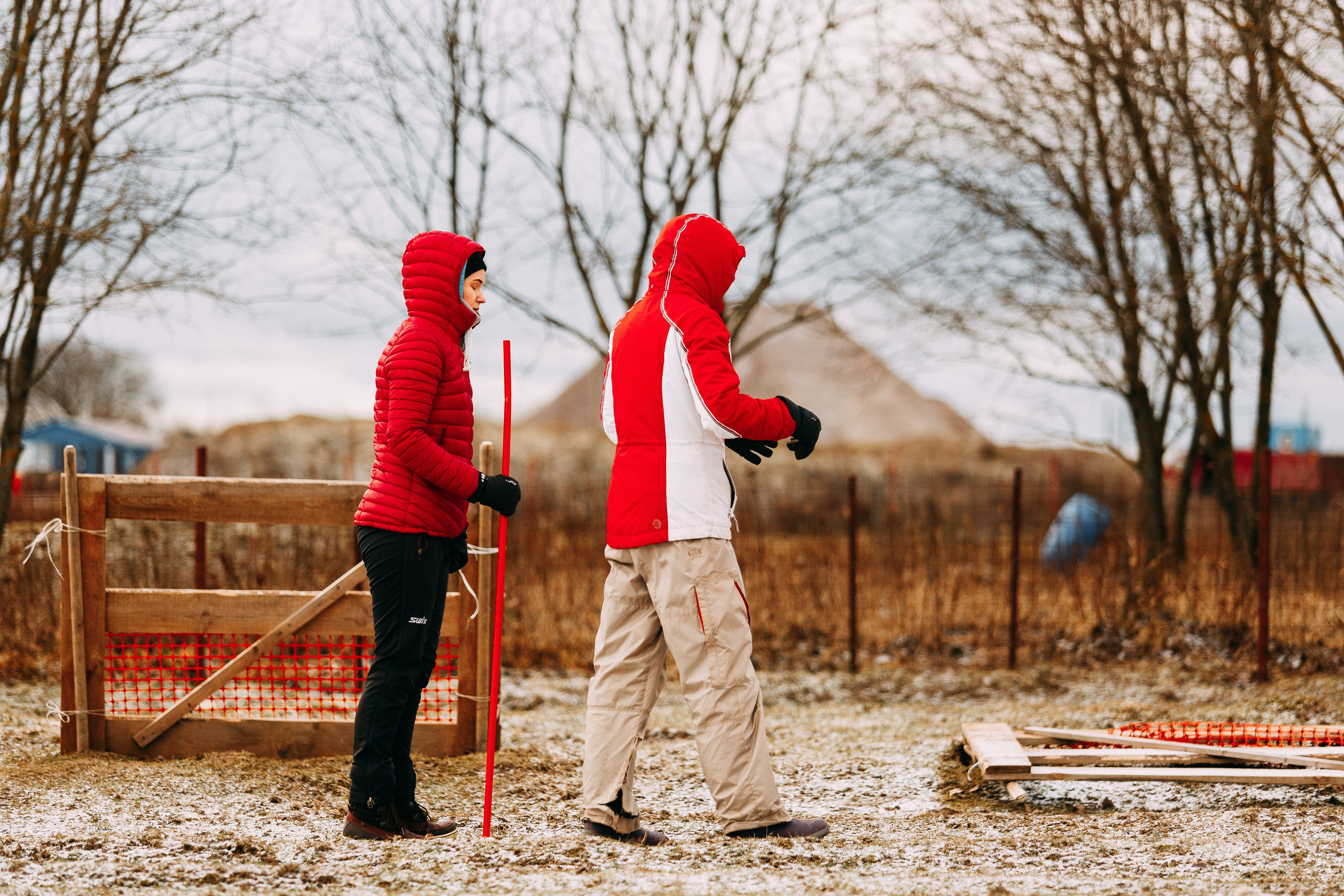 Пастьба овец. Фотограф-анималист Наталия Чистюхина в г. Сосновый Бор и ЛО