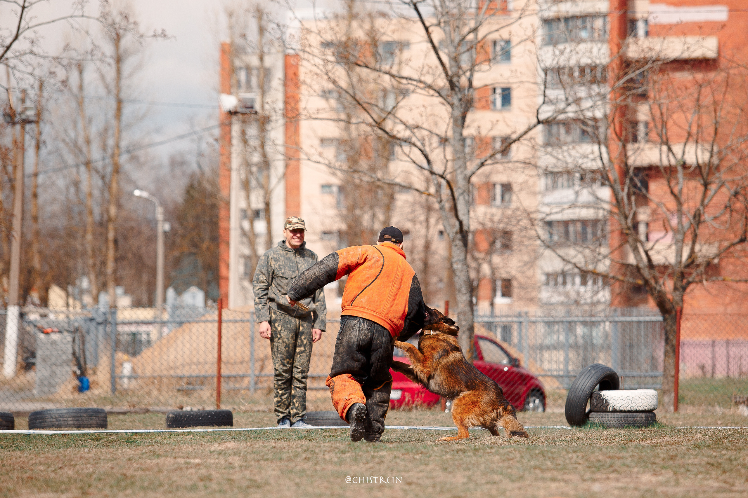 Большой Русский Ринг. Фотограф-анималист Наталия Чистюхина в г. Сосновый Бор и ЛО