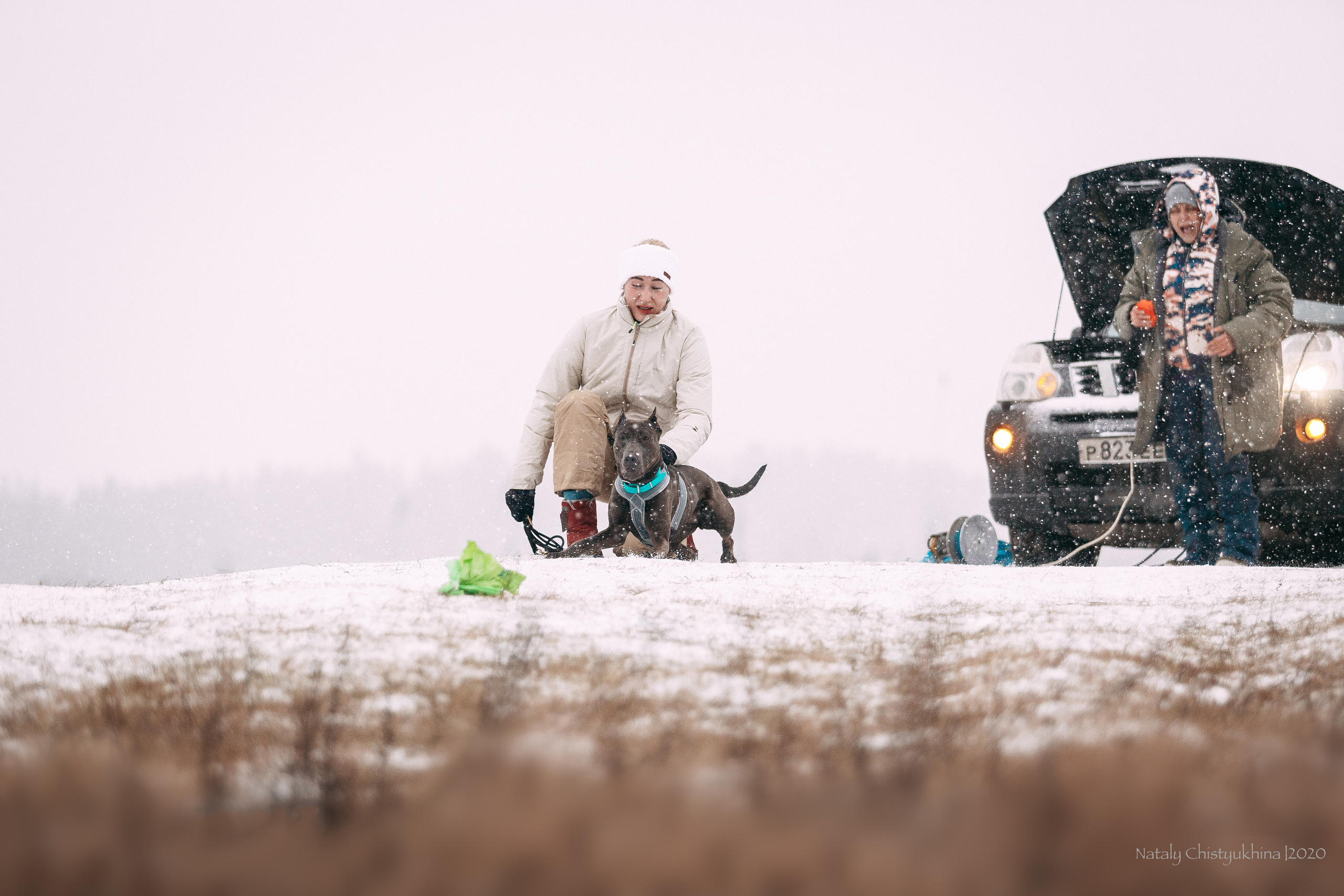 Курсинг. Колтуши. Фотограф-анималист Наталия Чистюхина в г. Сосновый Бор и ЛО