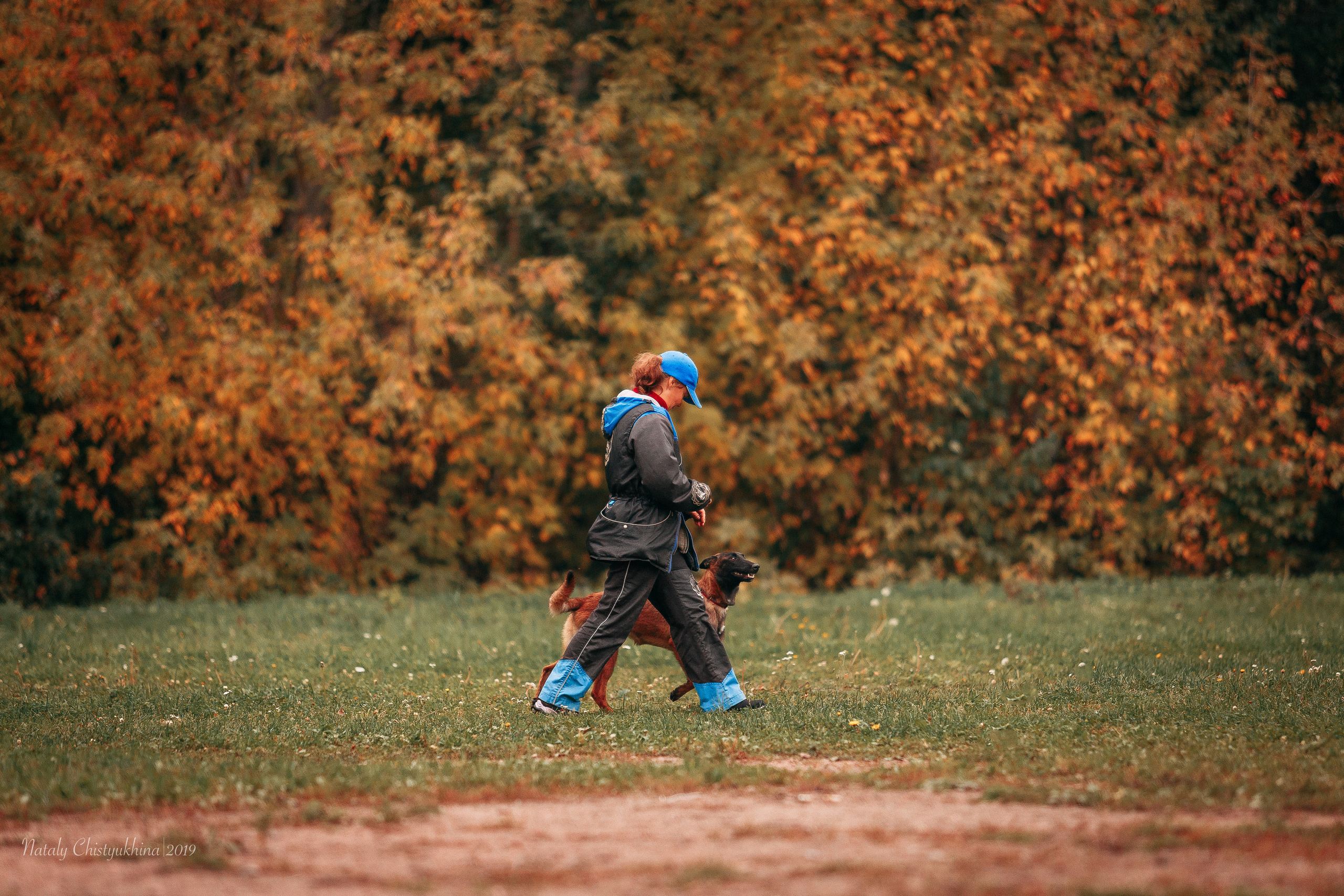 Соревнования «Петровская осень». Фотограф-анималист Наталия Чистюхина в г. Сосновый Бор и ЛО