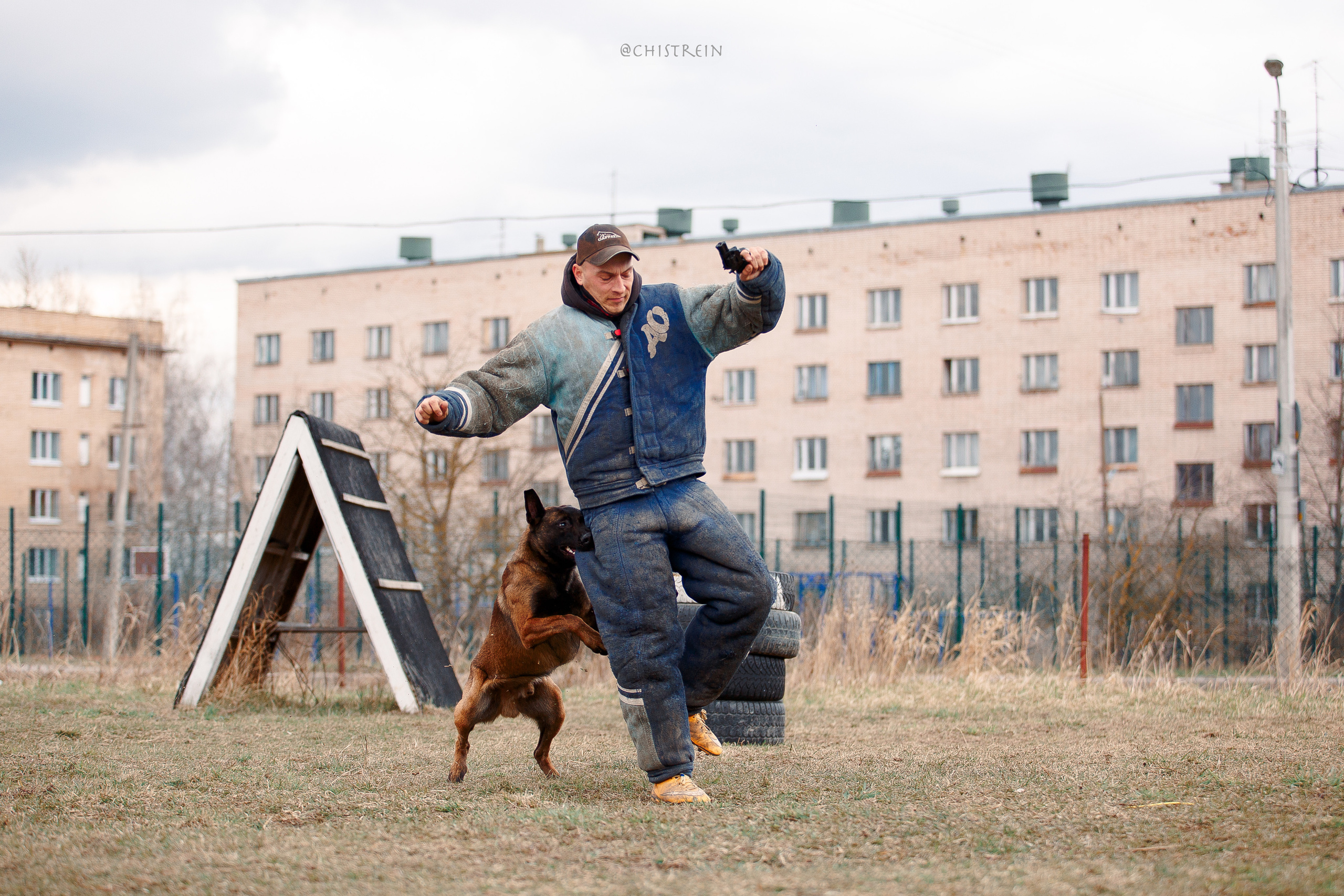 Мондьоринг в СПб. Фотограф-анималист Наталия Чистюхина в г. Сосновый Бор и ЛО