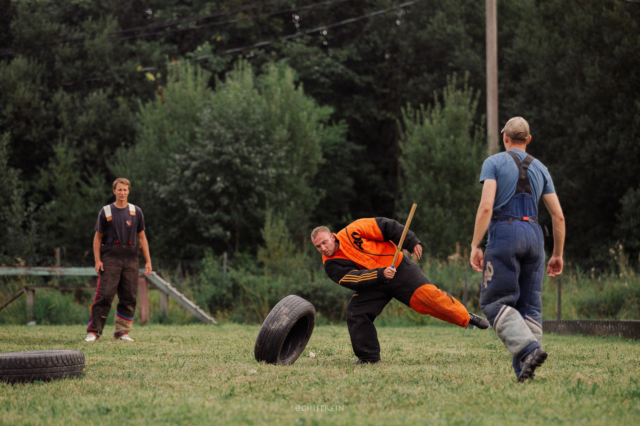 Семинары по мондио. Фотограф-анималист Наталия Чистюхина в г. Сосновый Бор и ЛО