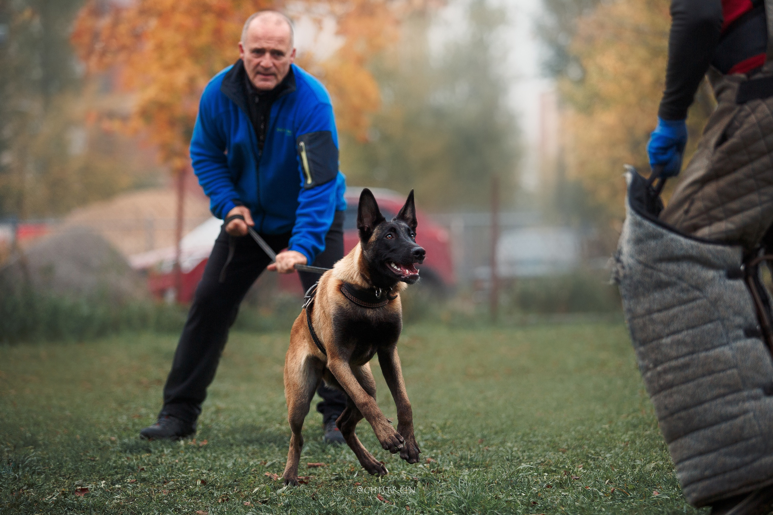 Мондьоринг в СПб. Фотограф-анималист Наталия Чистюхина в г. Сосновый Бор и ЛО