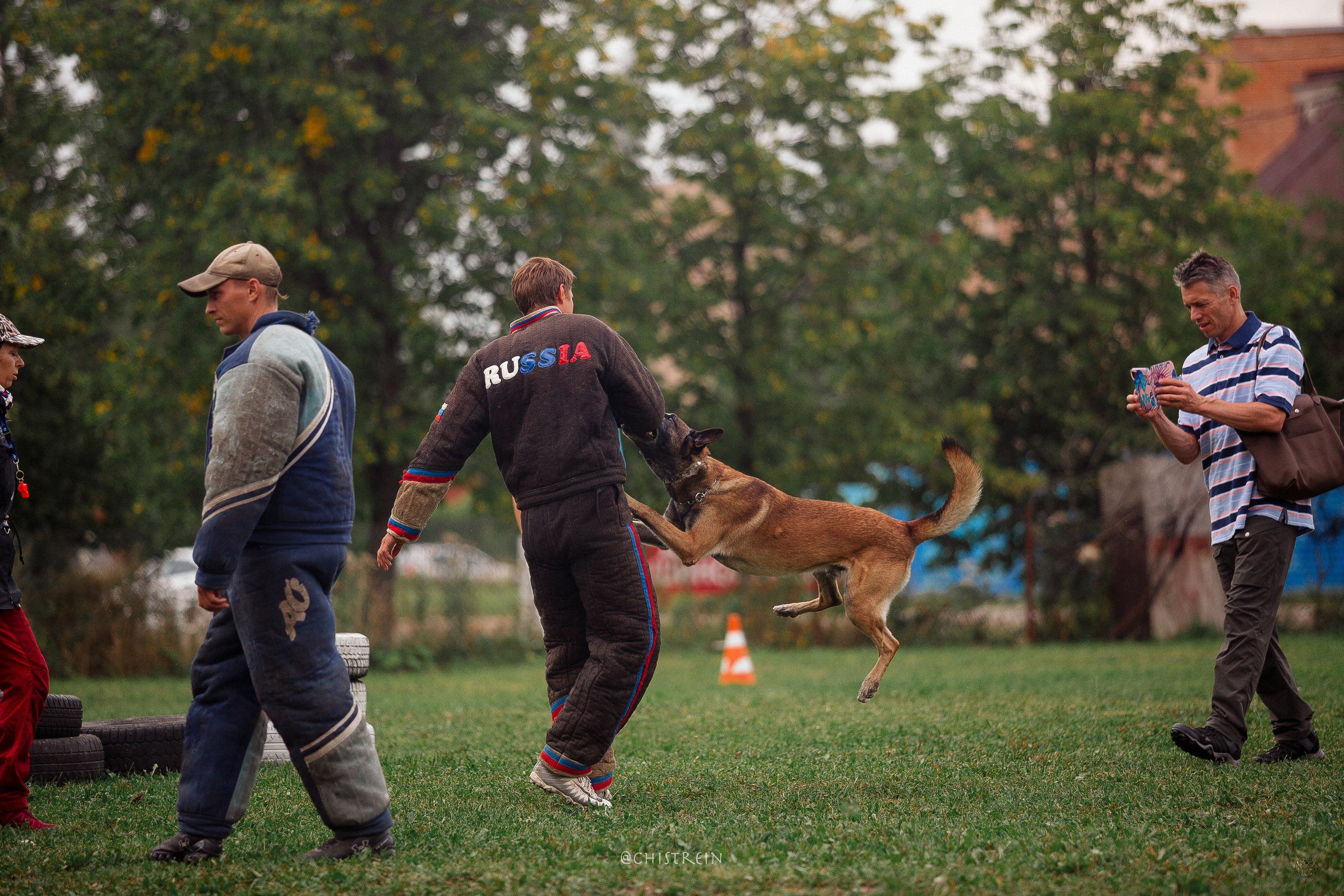 Семинары по мондио. Фотограф-анималист Наталия Чистюхина в г. Сосновый Бор и ЛО
