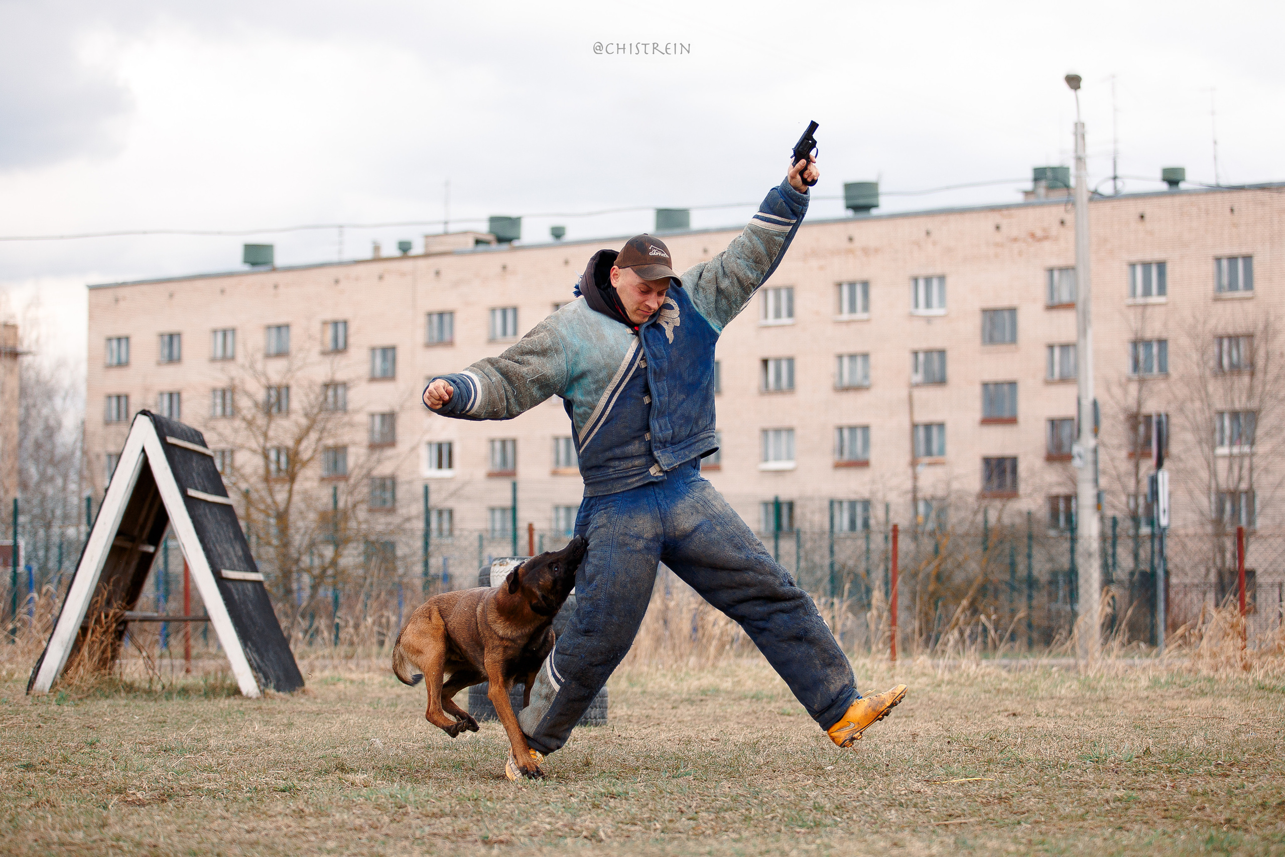 Мондьоринг в СПб. Фотограф-анималист Наталия Чистюхина в г. Сосновый Бор и ЛО