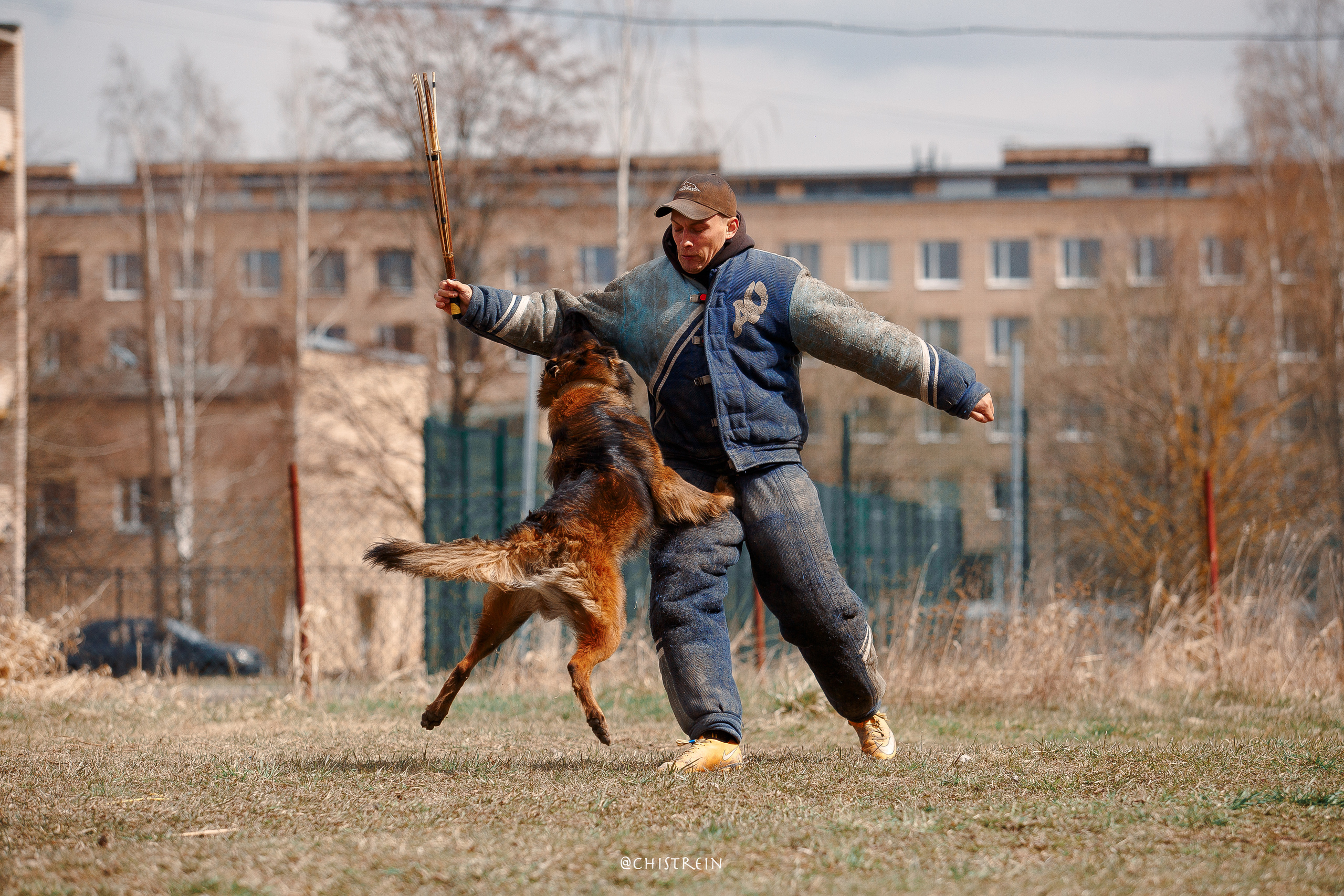 Большой Русский Ринг. Фотограф-анималист Наталия Чистюхина в г. Сосновый Бор и ЛО