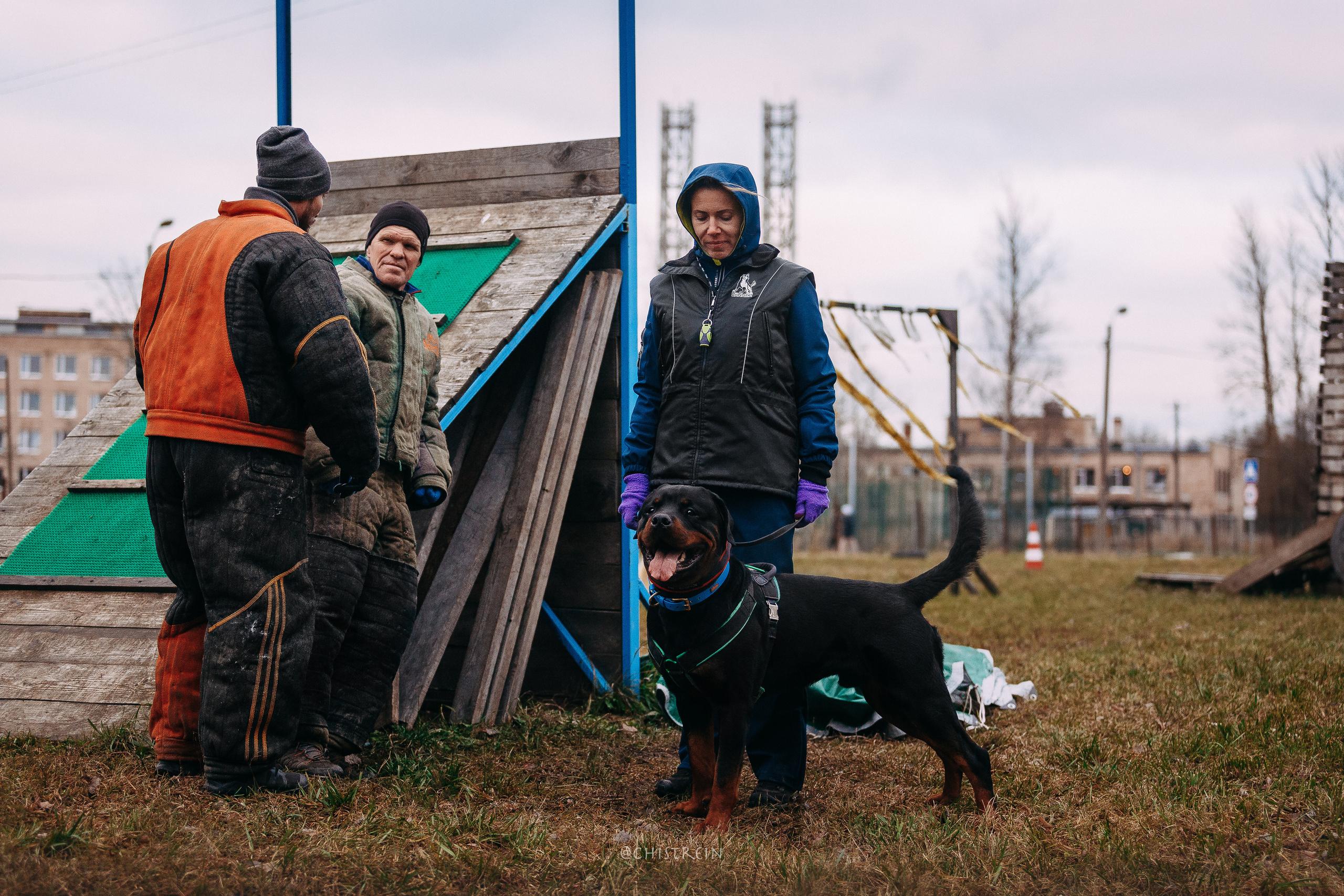 Мондьоринг в СПб. Фотограф-анималист Наталия Чистюхина в г. Сосновый Бор и ЛО