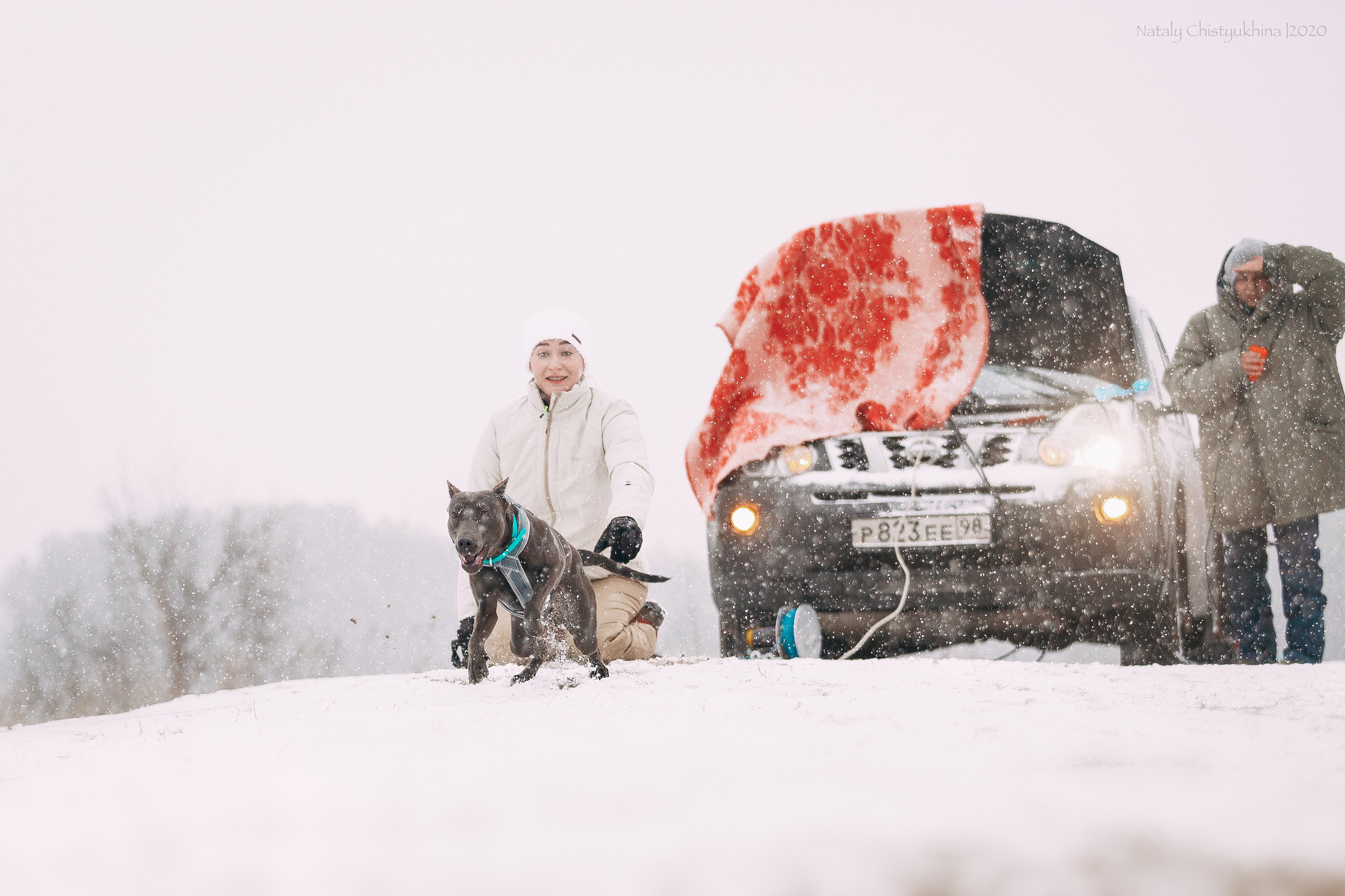 Курсинг. Колтуши. Фотограф-анималист Наталия Чистюхина в г. Сосновый Бор и ЛО