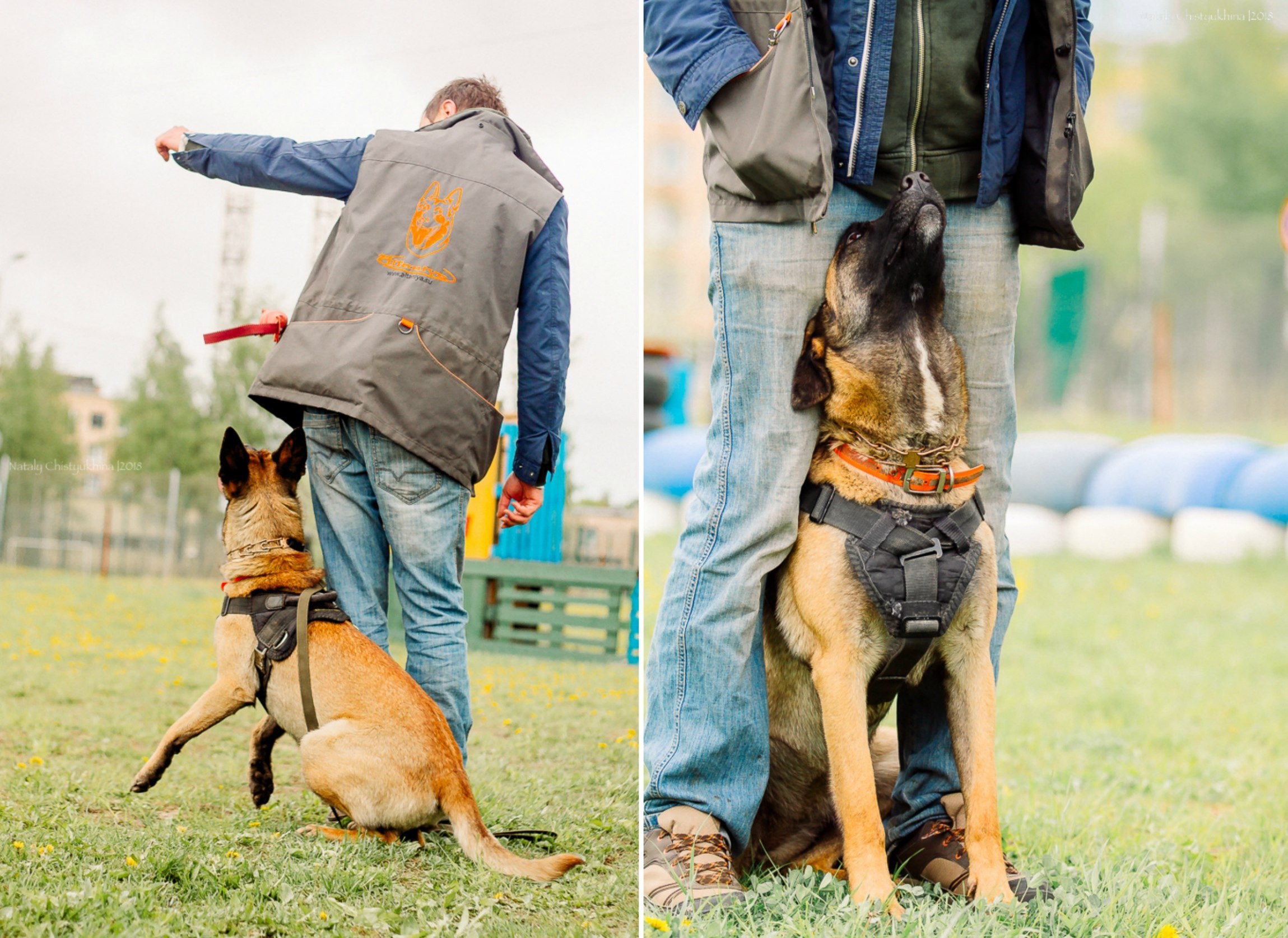 Семинары по мондио. Фотограф-анималист Наталия Чистюхина в г. Сосновый Бор и ЛО