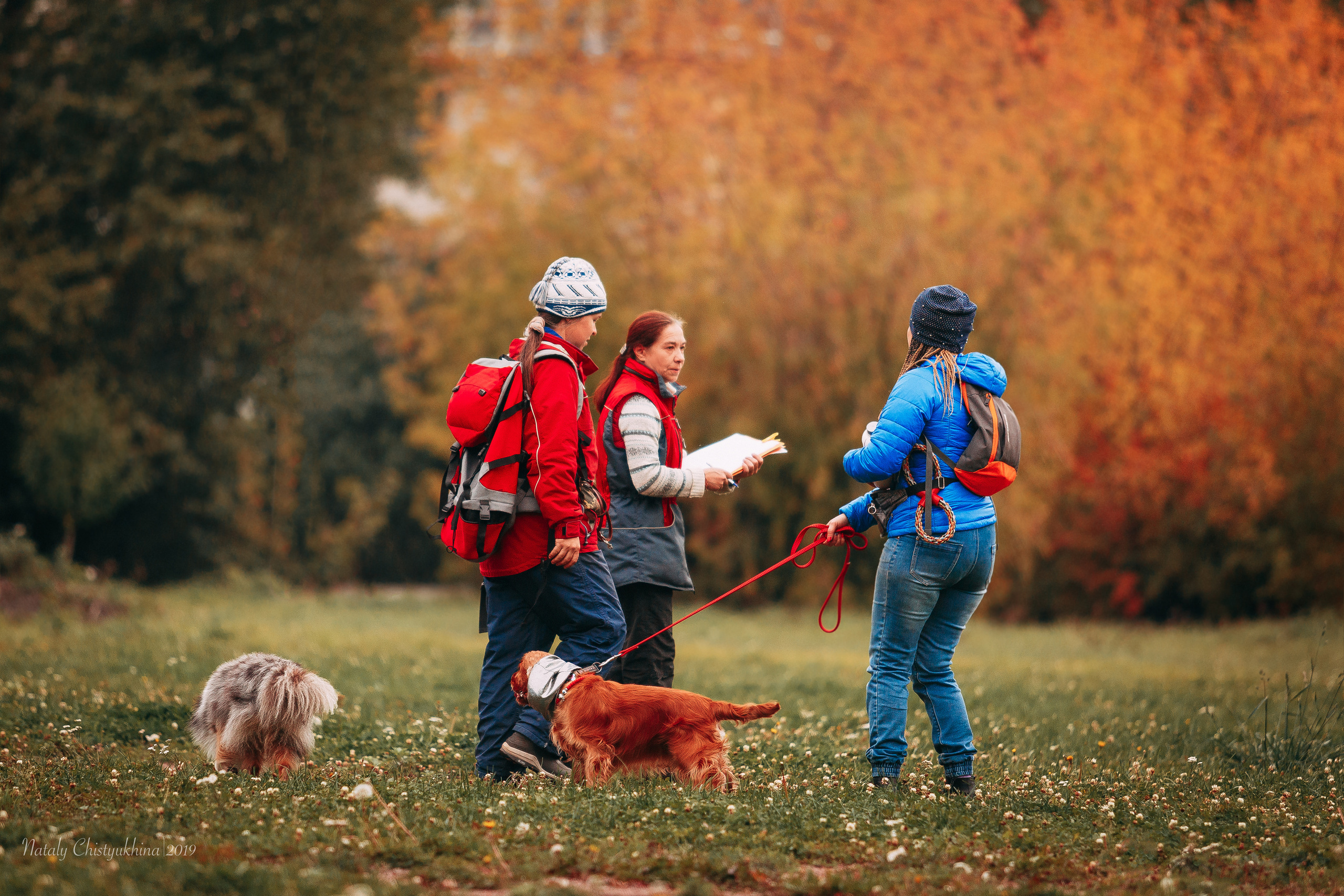 Соревнования «Петровская осень». Фотограф-анималист Наталия Чистюхина в г. Сосновый Бор и ЛО