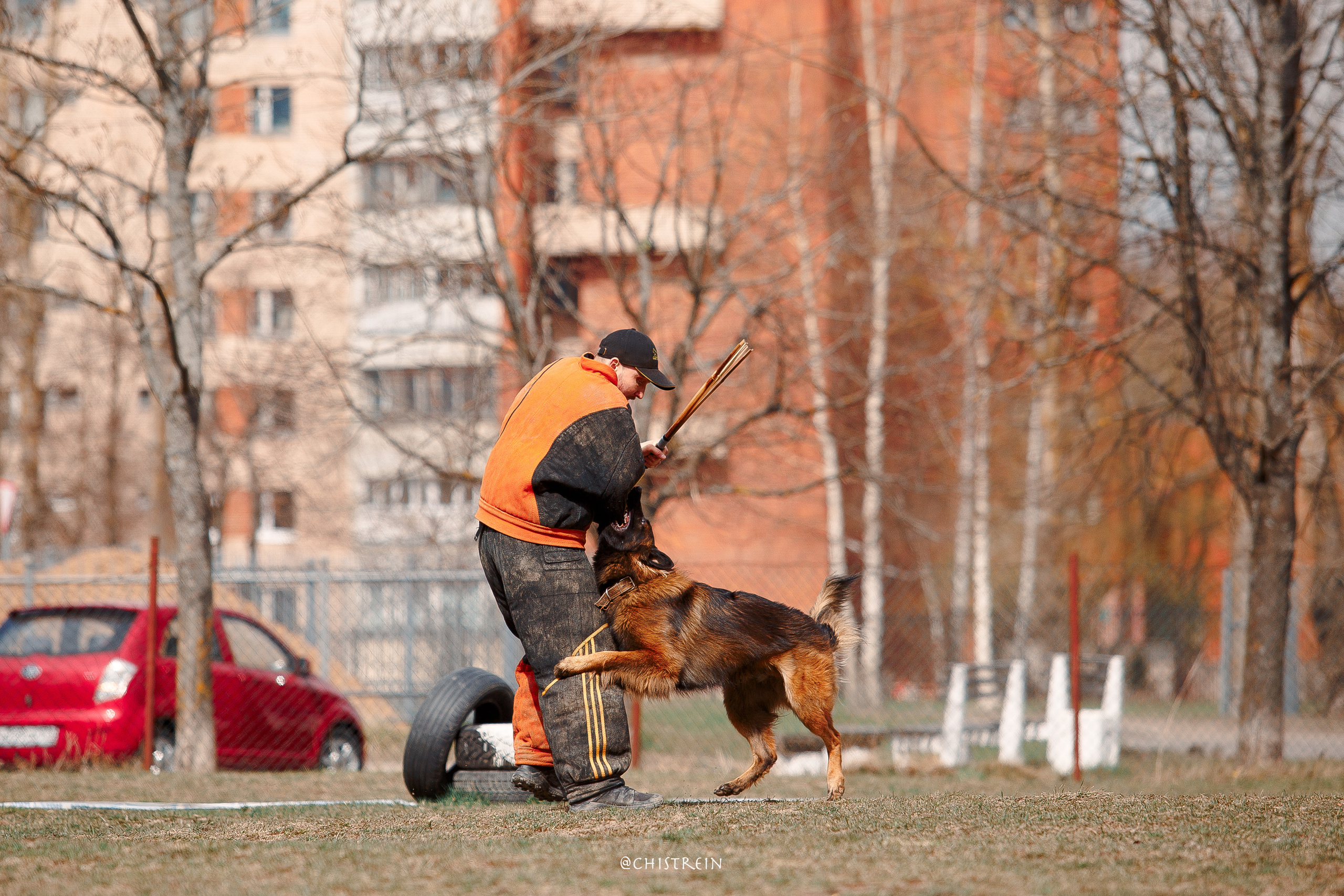 Большой Русский Ринг. Фотограф-анималист Наталия Чистюхина в г. Сосновый Бор и ЛО