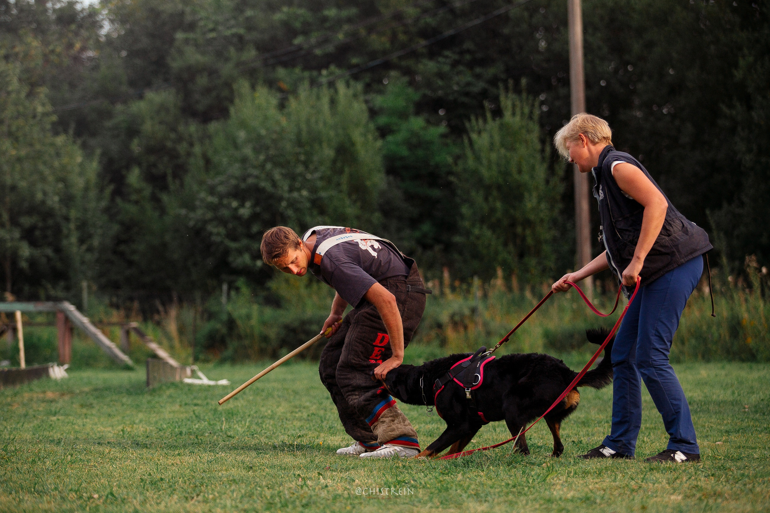Семинары по мондио. Фотограф-анималист Наталия Чистюхина в г. Сосновый Бор и ЛО