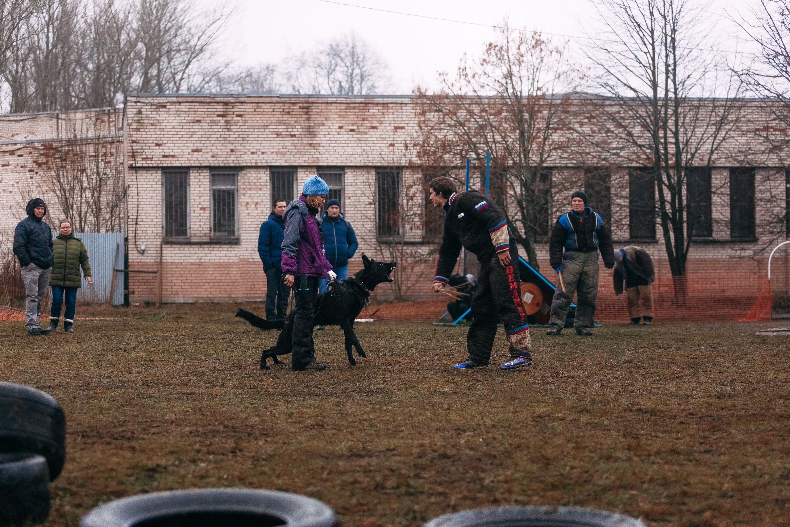 Семинары по мондио. Фотограф-анималист Наталия Чистюхина в г. Сосновый Бор и ЛО