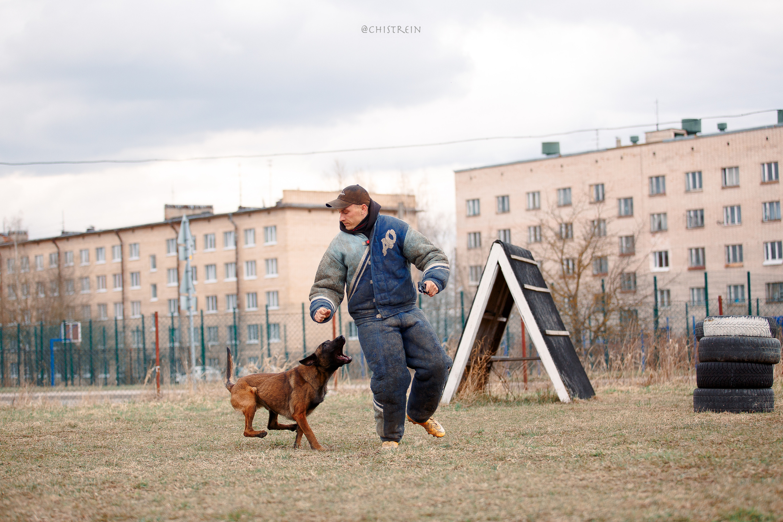 Мондьоринг в СПб. Фотограф-анималист Наталия Чистюхина в г. Сосновый Бор и ЛО