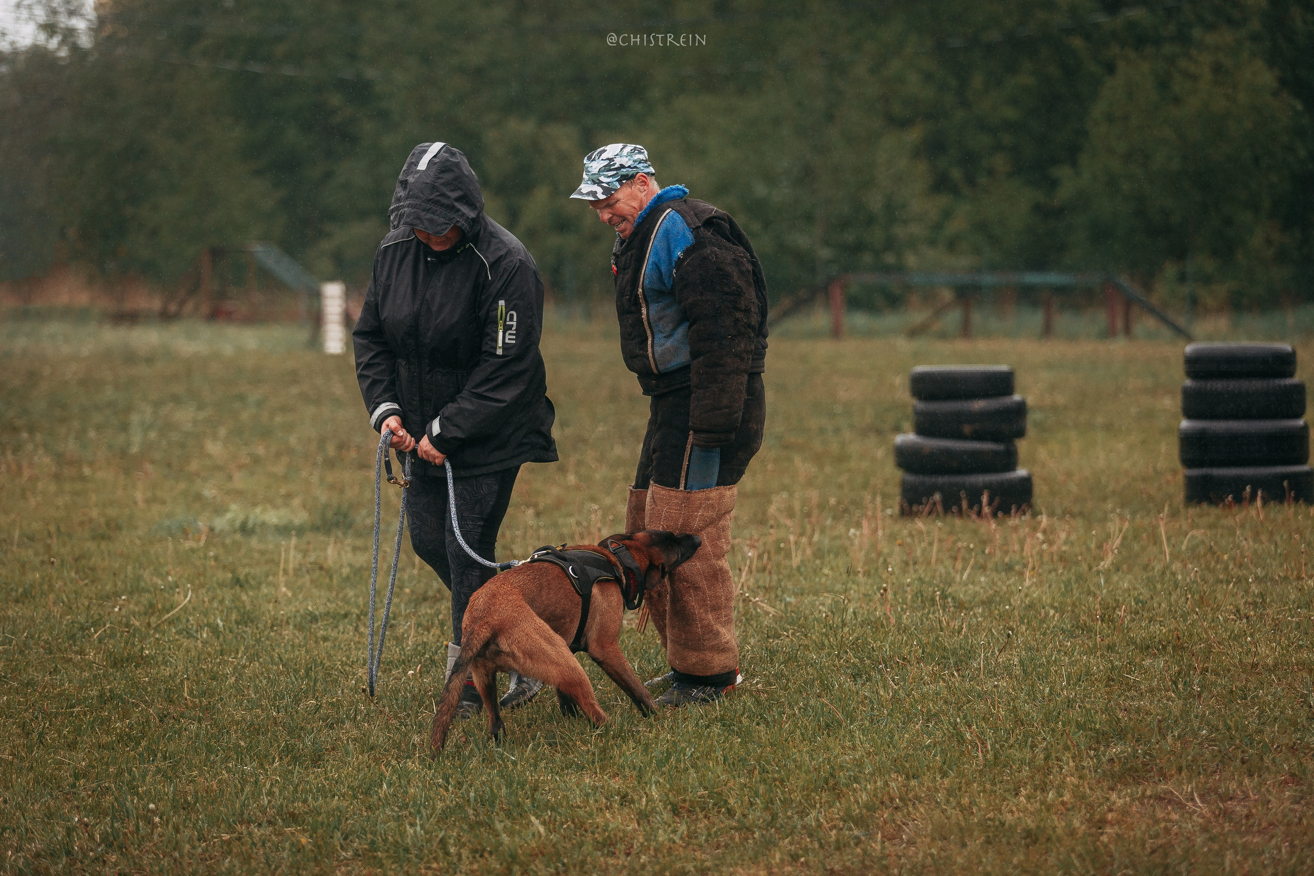 Мондьоринг в СПб. Фотограф-анималист Наталия Чистюхина в г. Сосновый Бор и ЛО