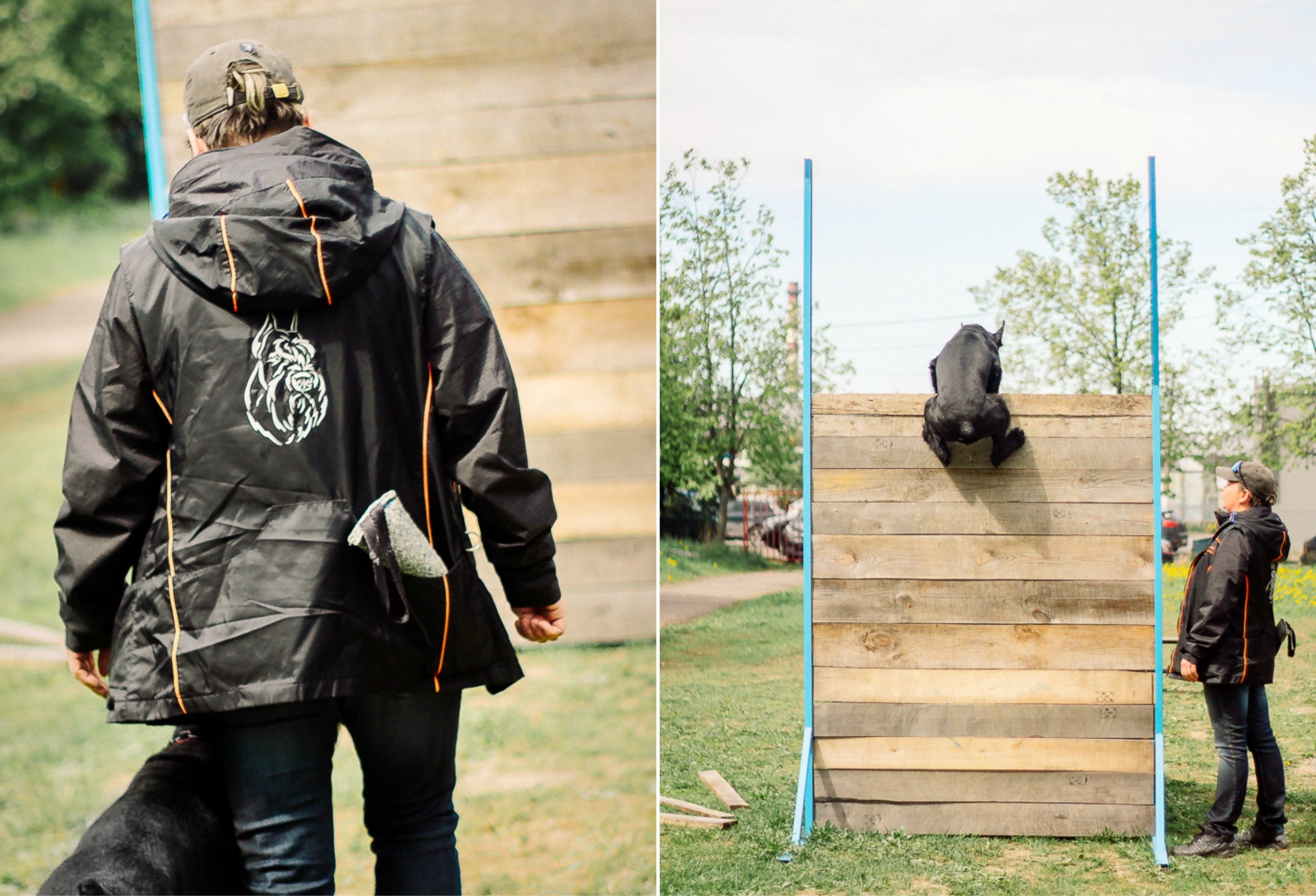 Семинары по мондио. Фотограф-анималист Наталия Чистюхина в г. Сосновый Бор и ЛО