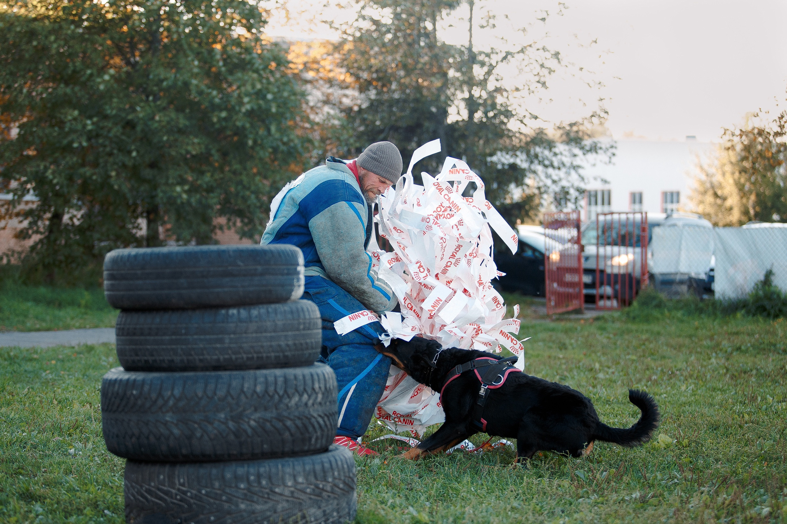 Мондьоринг в СПб. Фотограф-анималист Наталия Чистюхина в г. Сосновый Бор и ЛО