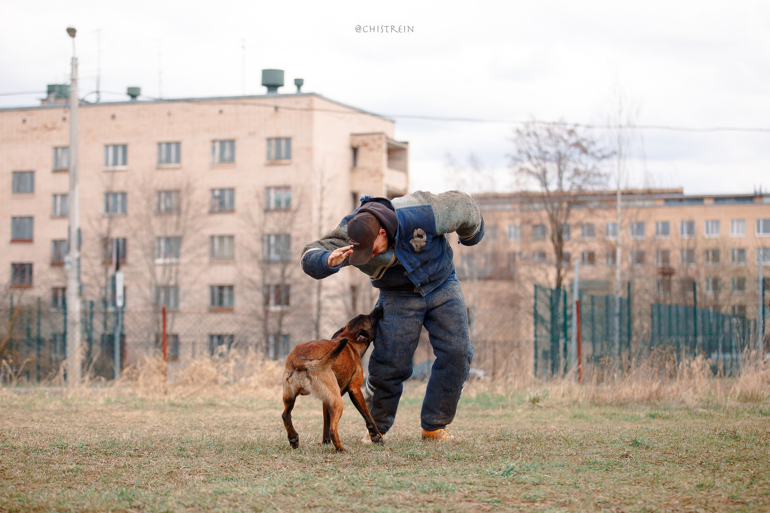 Мондьоринг в СПб. Фотограф-анималист Наталия Чистюхина в г. Сосновый Бор и ЛО