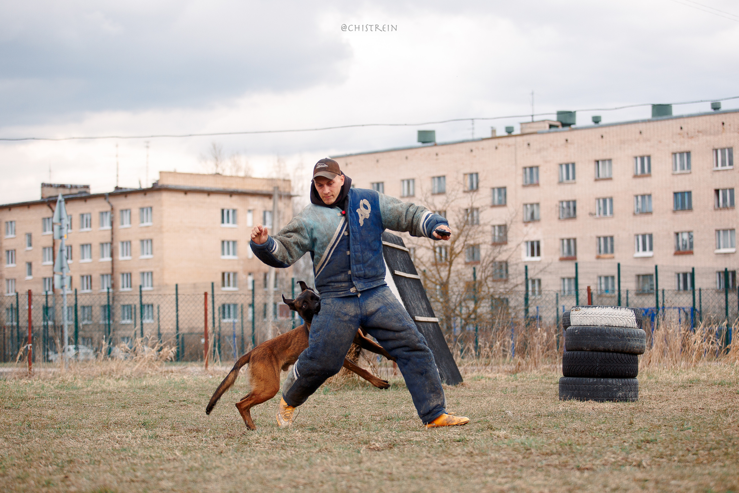 Мондьоринг в СПб. Фотограф-анималист Наталия Чистюхина в г. Сосновый Бор и ЛО