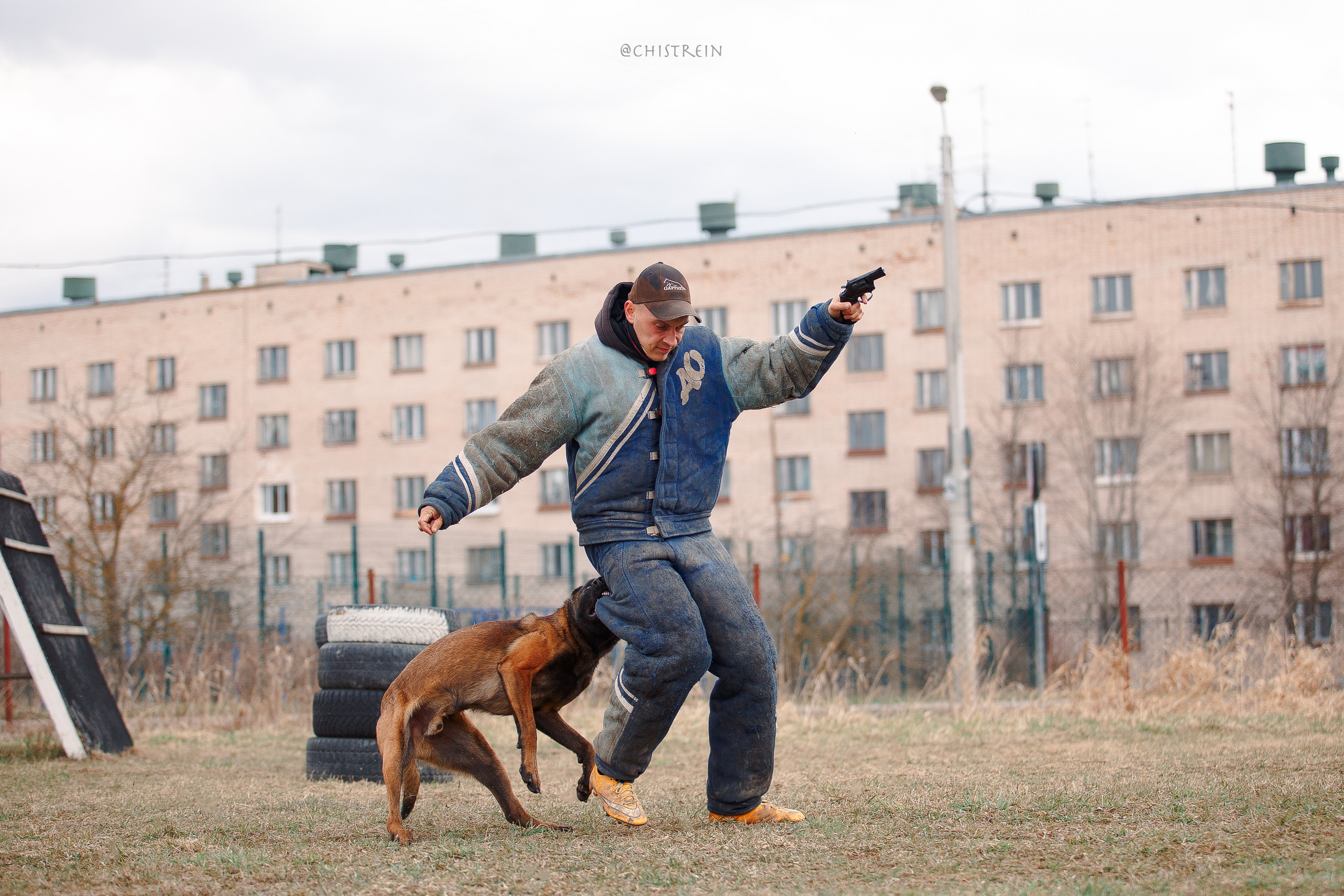 Мондьоринг в СПб. Фотограф-анималист Наталия Чистюхина в г. Сосновый Бор и ЛО