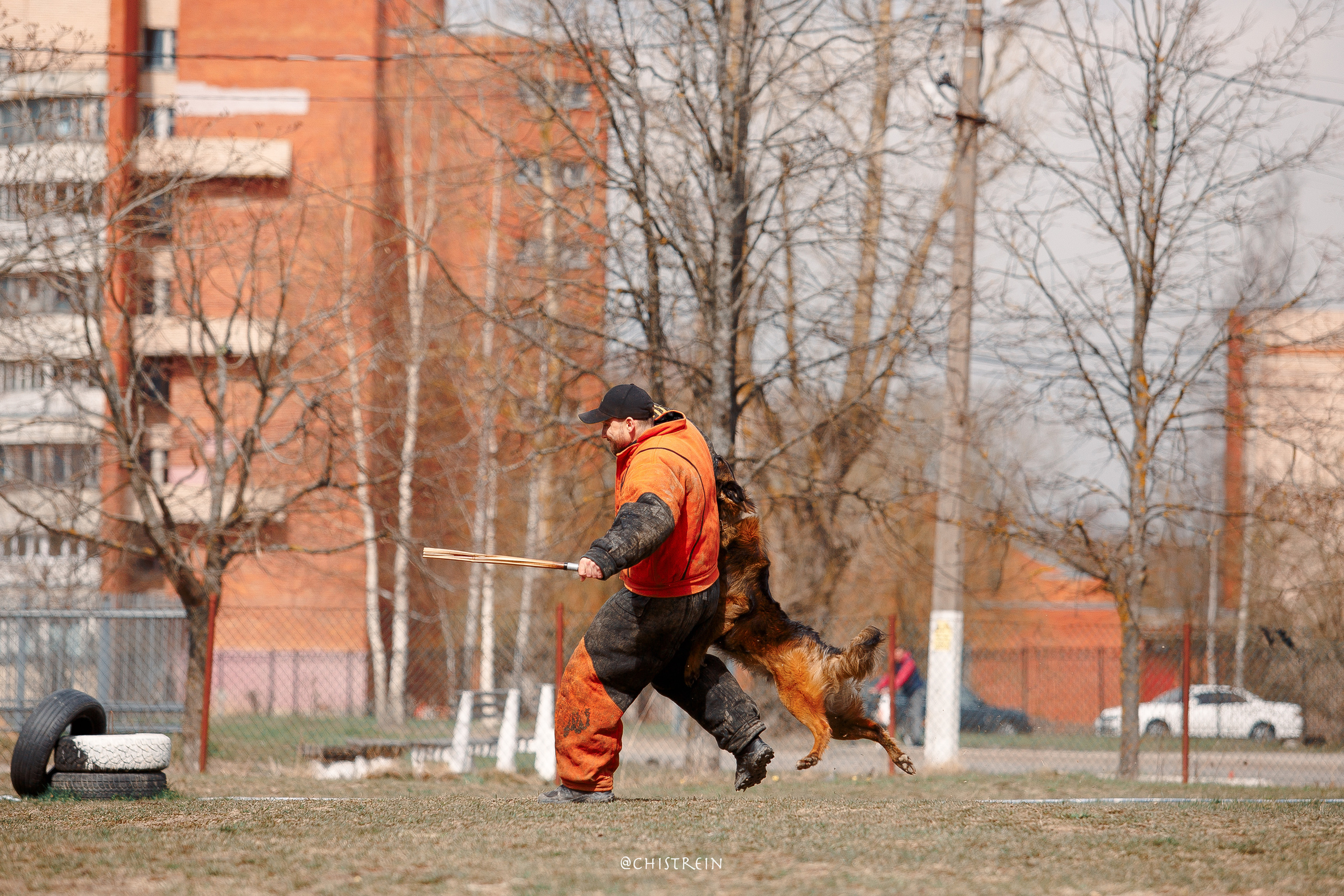 Большой Русский Ринг. Фотограф-анималист Наталия Чистюхина в г. Сосновый Бор и ЛО