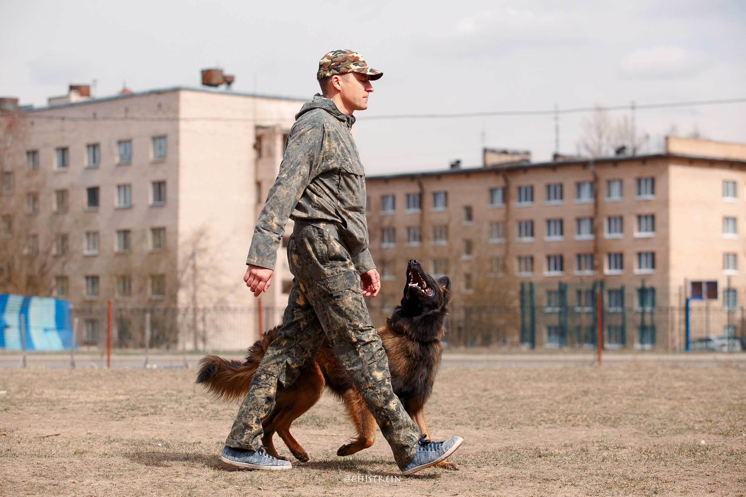 Большой Русский Ринг. Фотограф-анималист Наталия Чистюхина в г. Сосновый Бор и ЛО