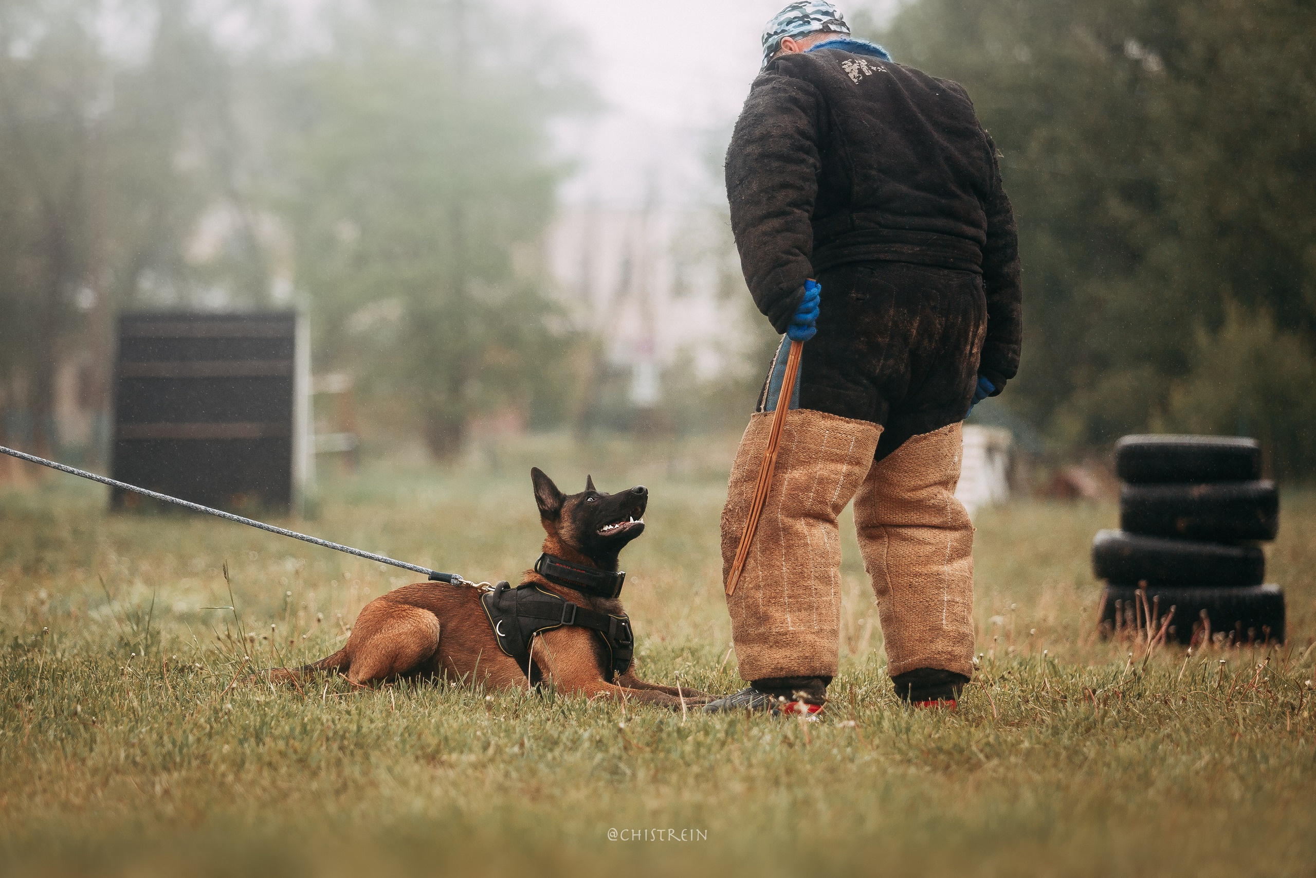 Мондьоринг в СПб. Фотограф-анималист Наталия Чистюхина в г. Сосновый Бор и ЛО