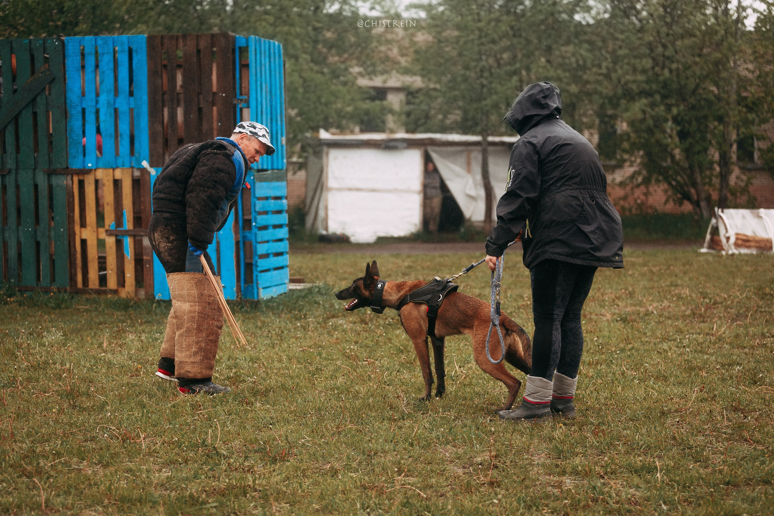 Мондьоринг в СПб. Фотограф-анималист Наталия Чистюхина в г. Сосновый Бор и ЛО