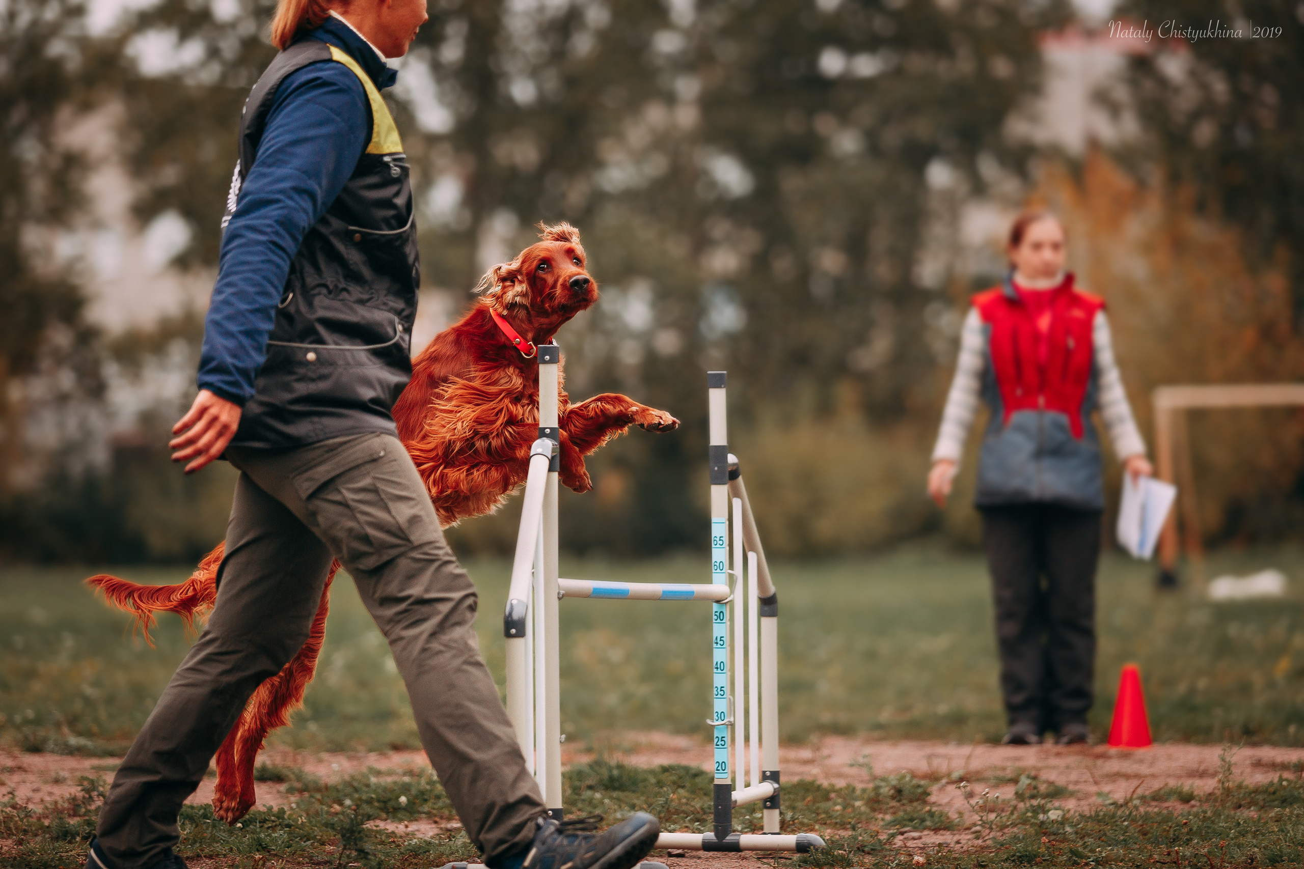Соревнования «Петровская осень». Фотограф-анималист Наталия Чистюхина в г. Сосновый Бор и ЛО