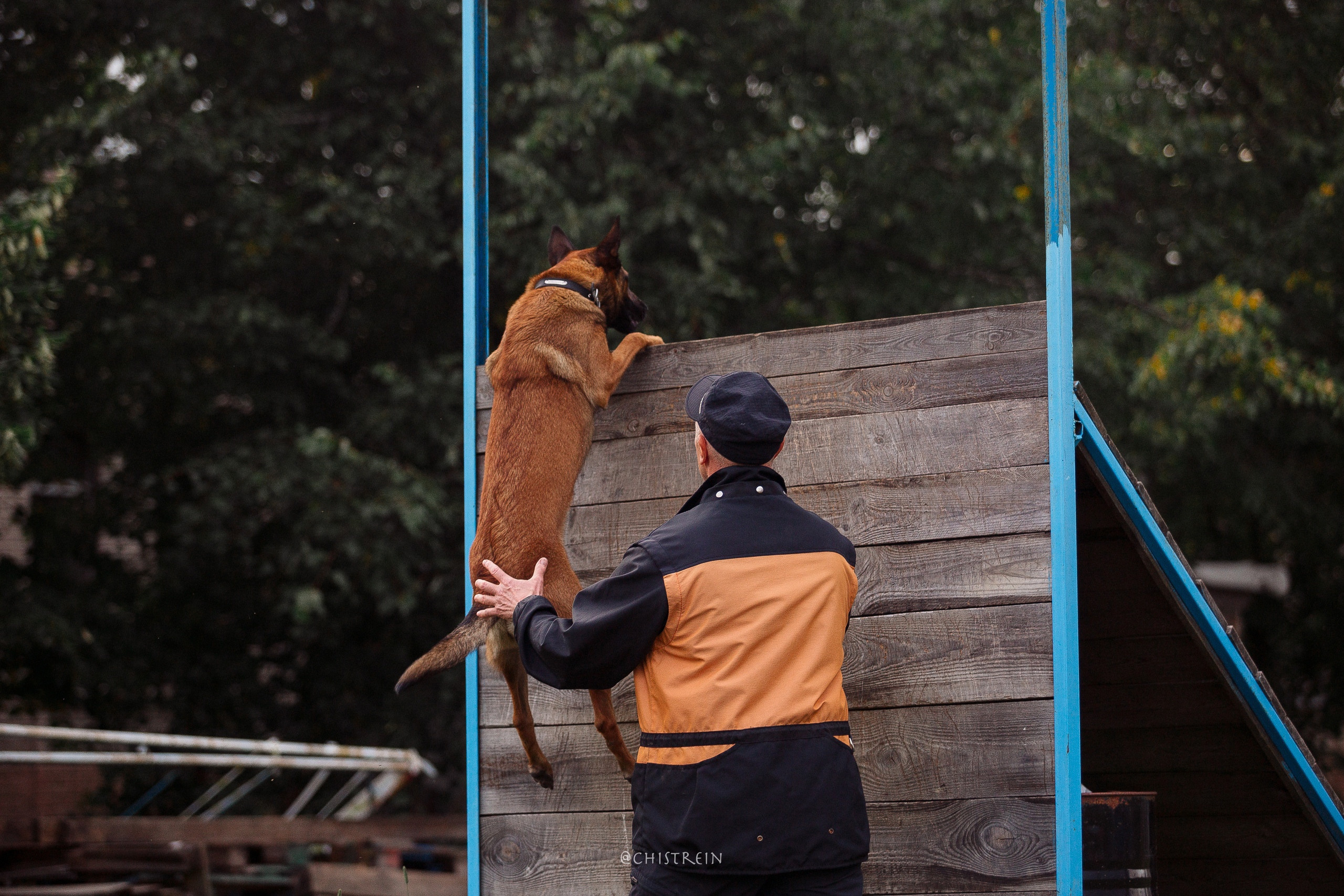 Семинары по мондио. Фотограф-анималист Наталия Чистюхина в г. Сосновый Бор и ЛО