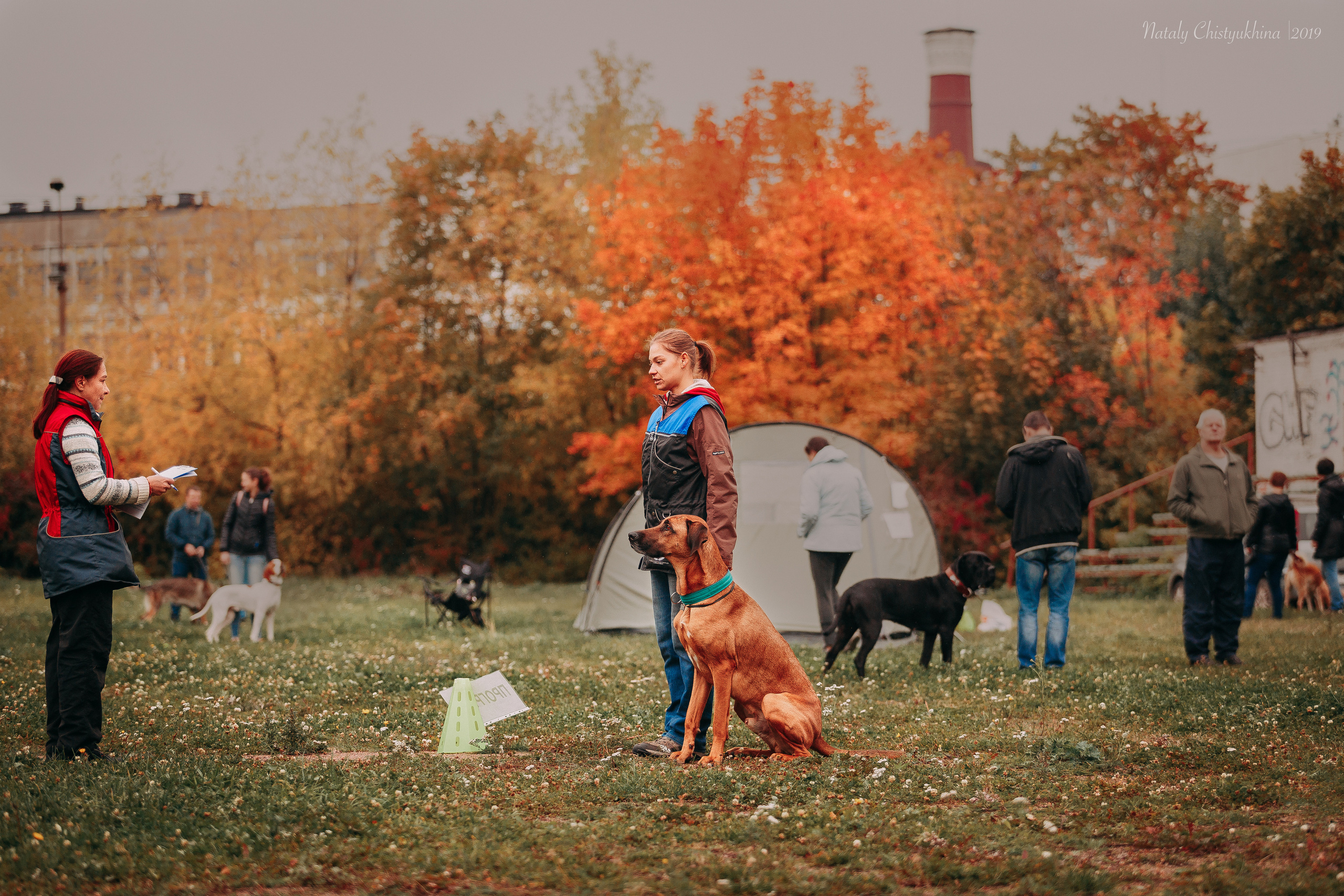 Соревнования «Петровская осень». Фотограф-анималист Наталия Чистюхина в г. Сосновый Бор и ЛО