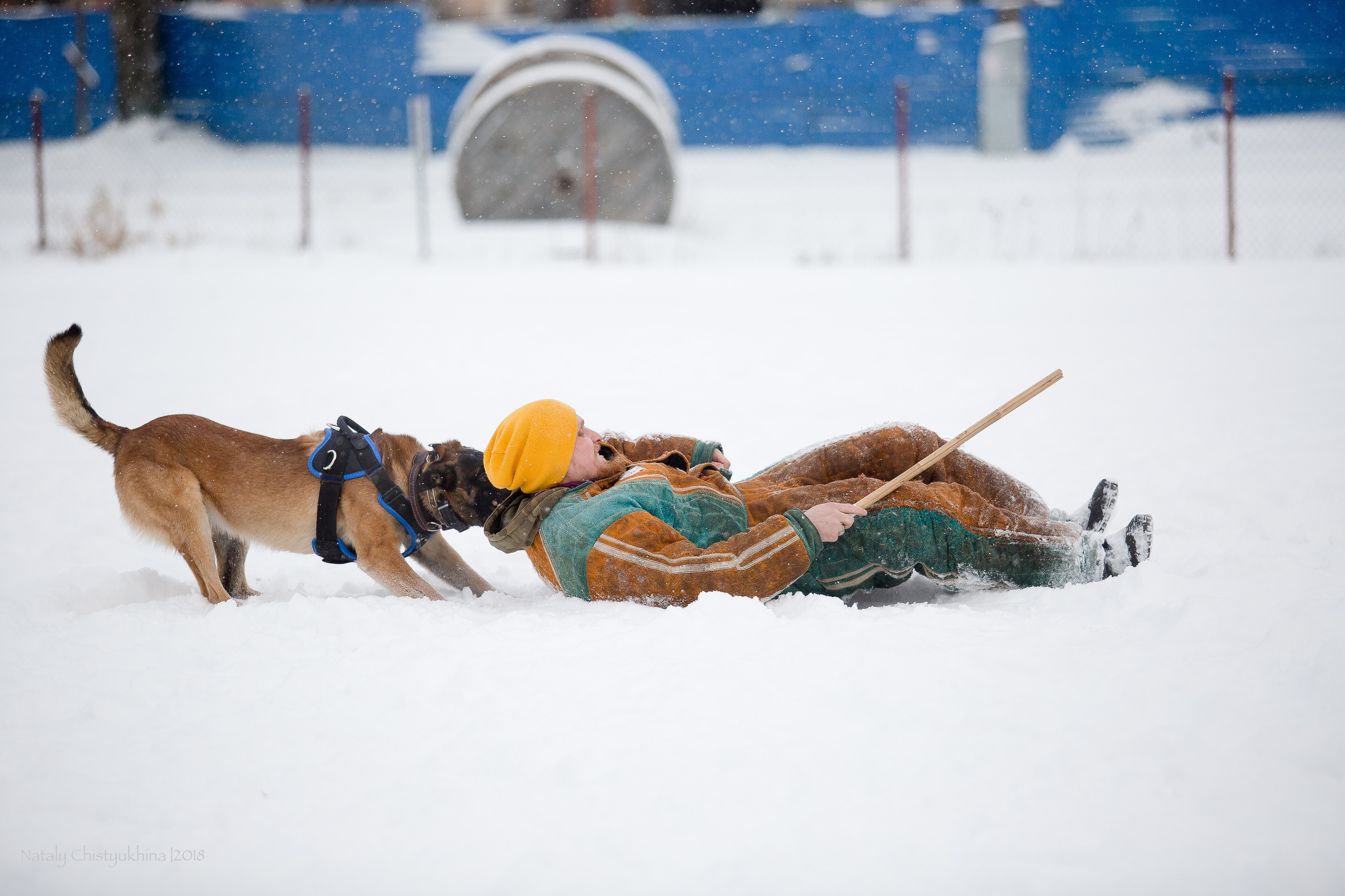 Семинары по мондио. Фотограф-анималист Наталия Чистюхина в г. Сосновый Бор и ЛО