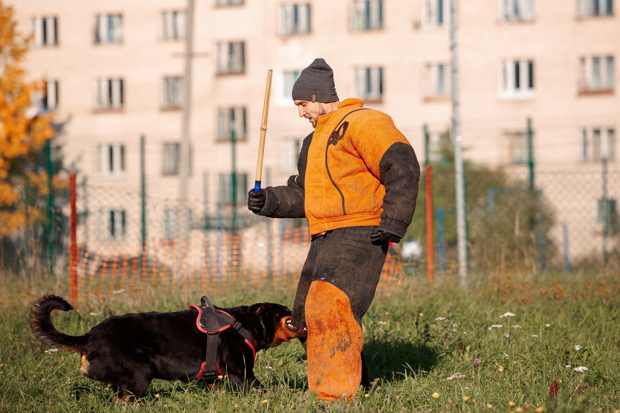 Мондьоринг в СПб. Фотограф-анималист Наталия Чистюхина в г. Сосновый Бор и ЛО