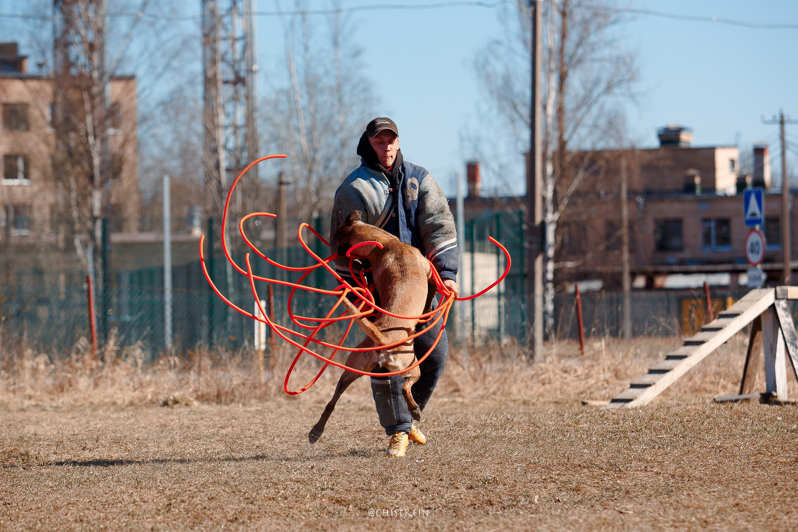 Мондьоринг в СПб. Фотограф-анималист Наталия Чистюхина в г. Сосновый Бор и ЛО